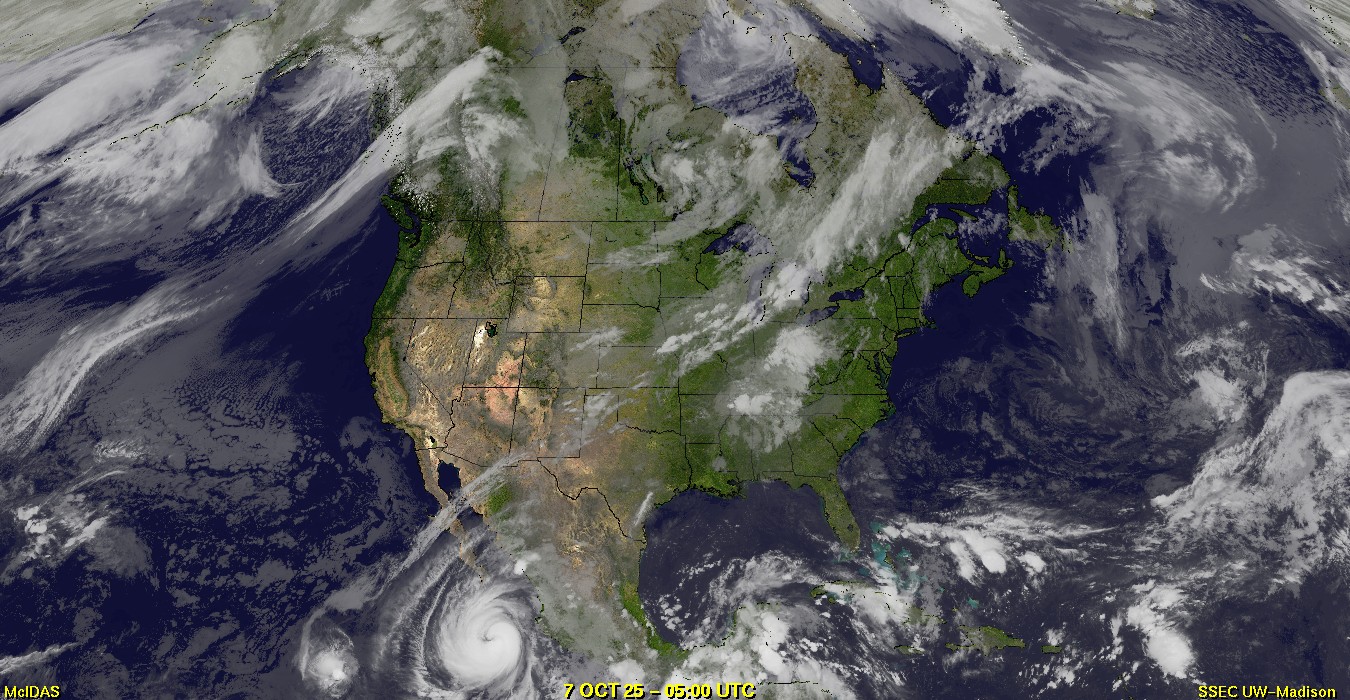 Live Satellite