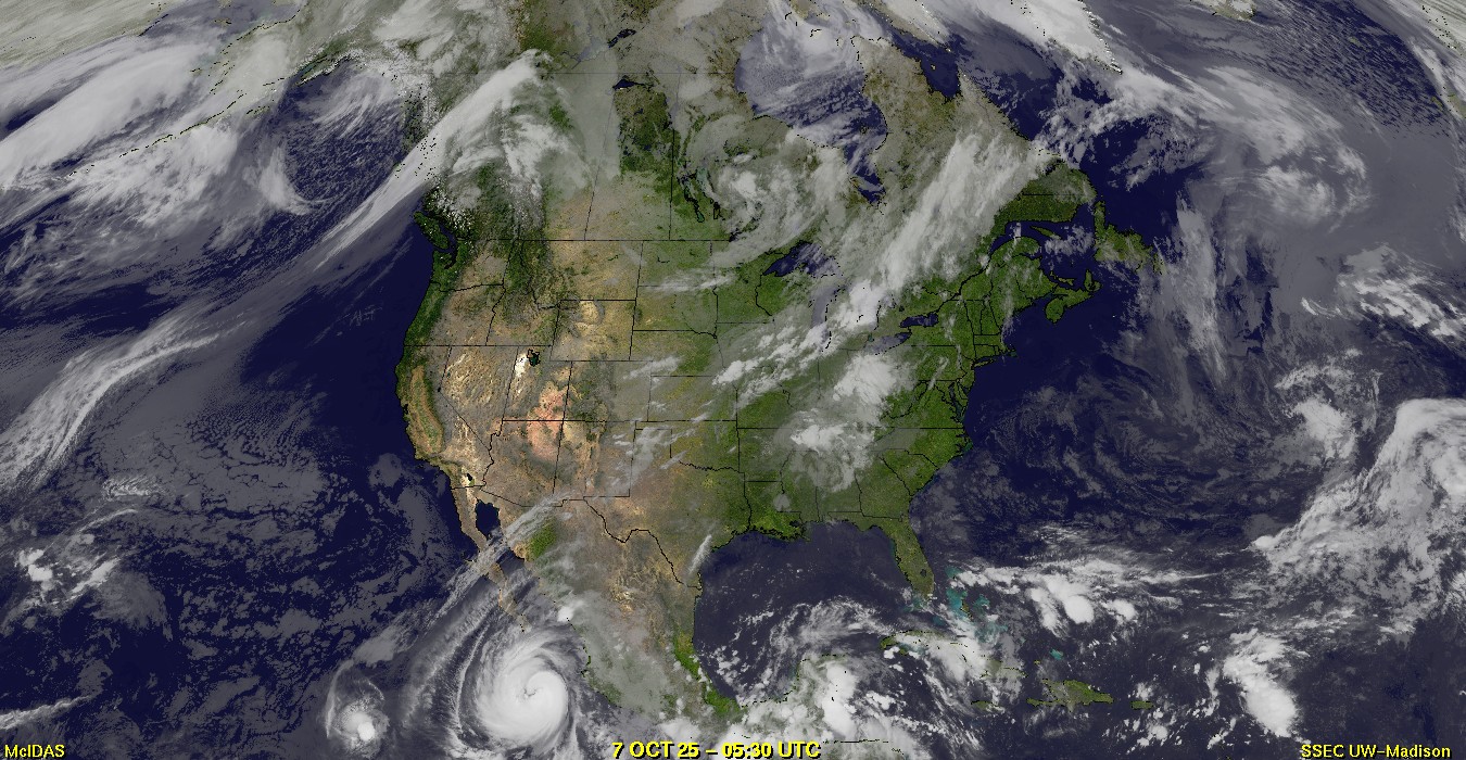 Live Satellite
