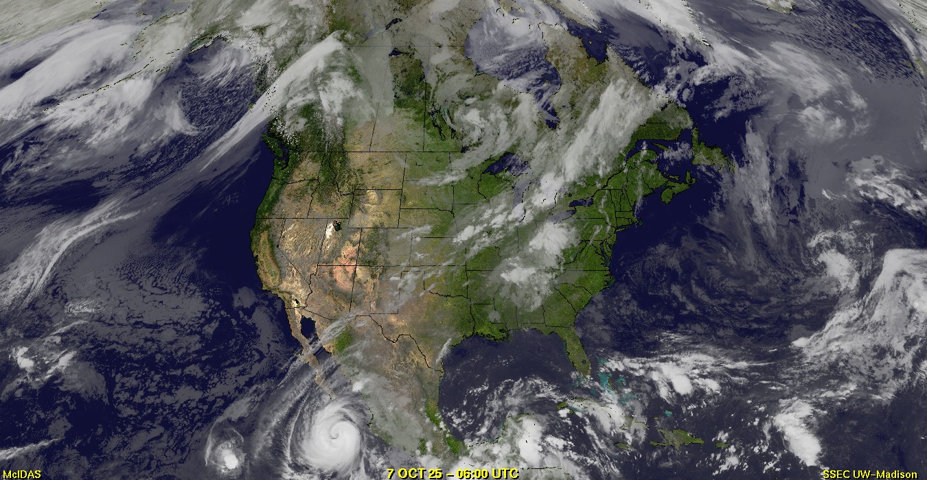 Live Satellite