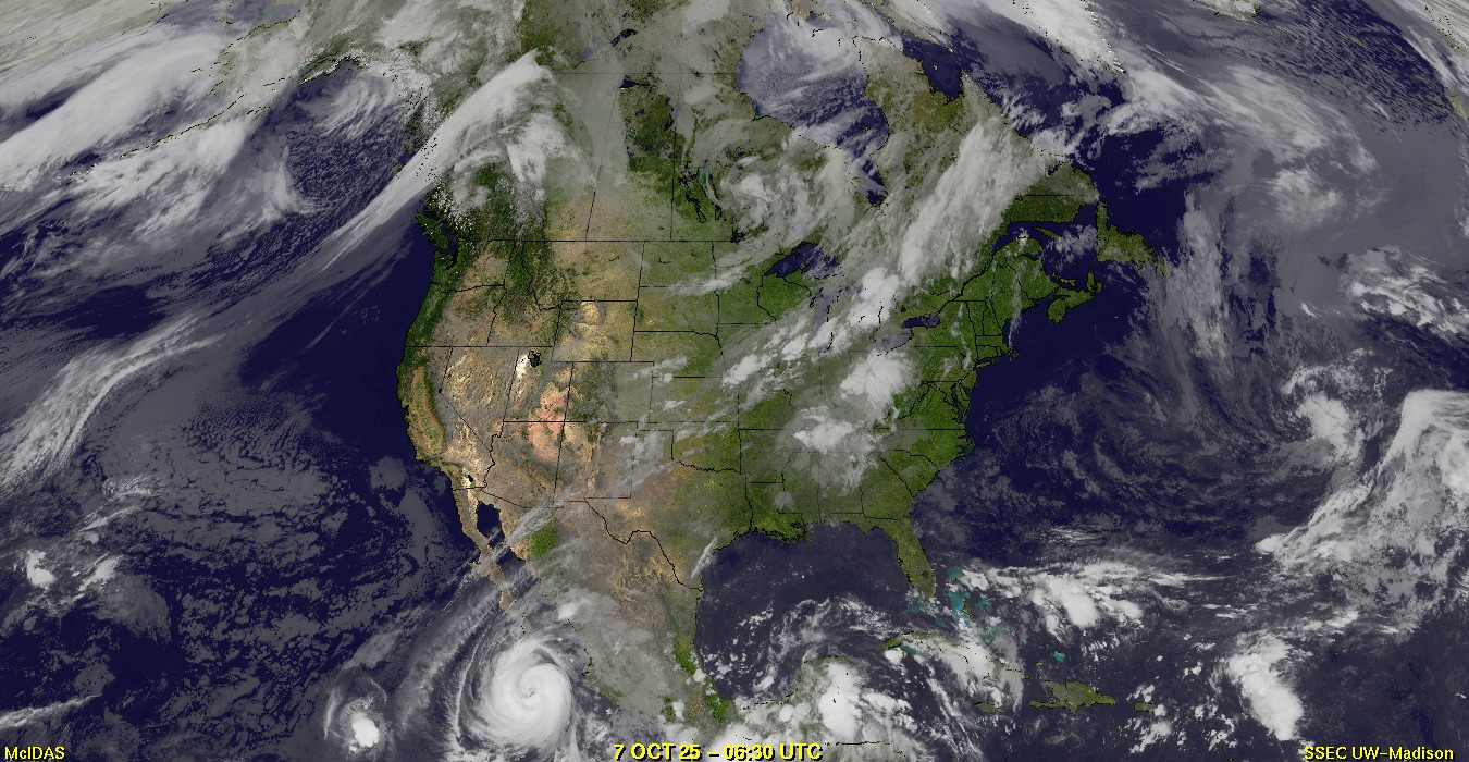 Live Satellite