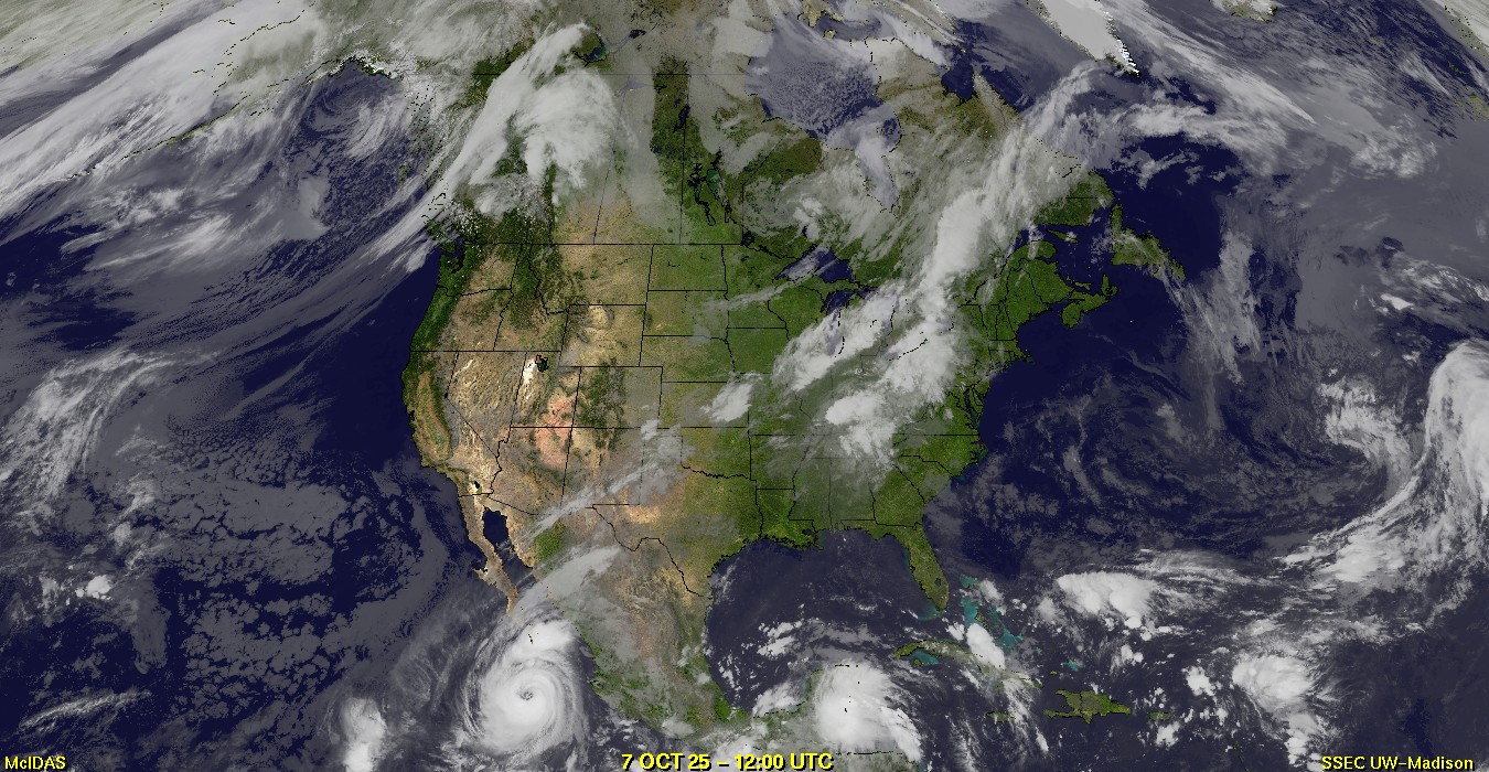 Live Satellite