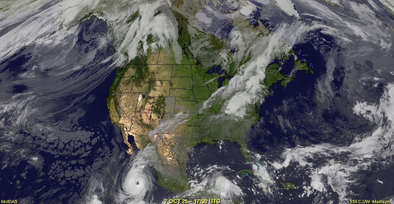 Live Satellite