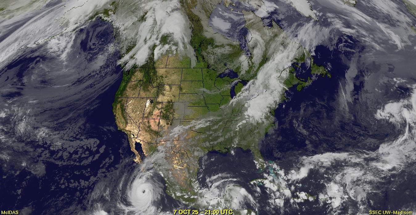 Live Satellite