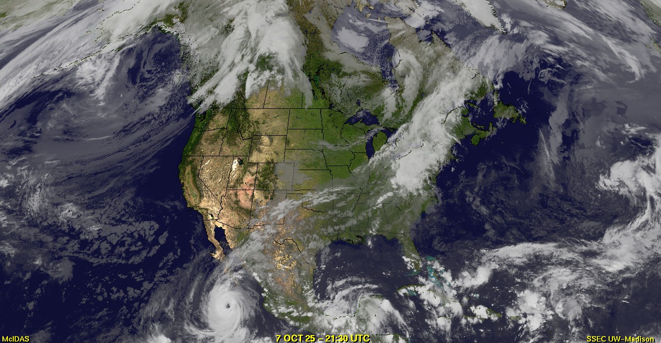 Live Satellite