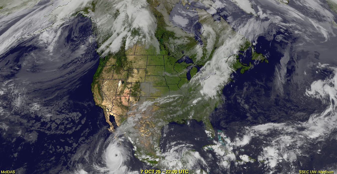 Live Satellite