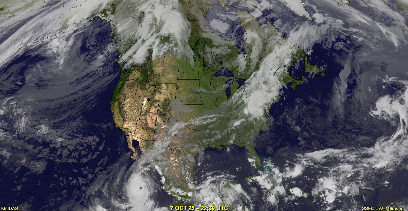 Live Satellite