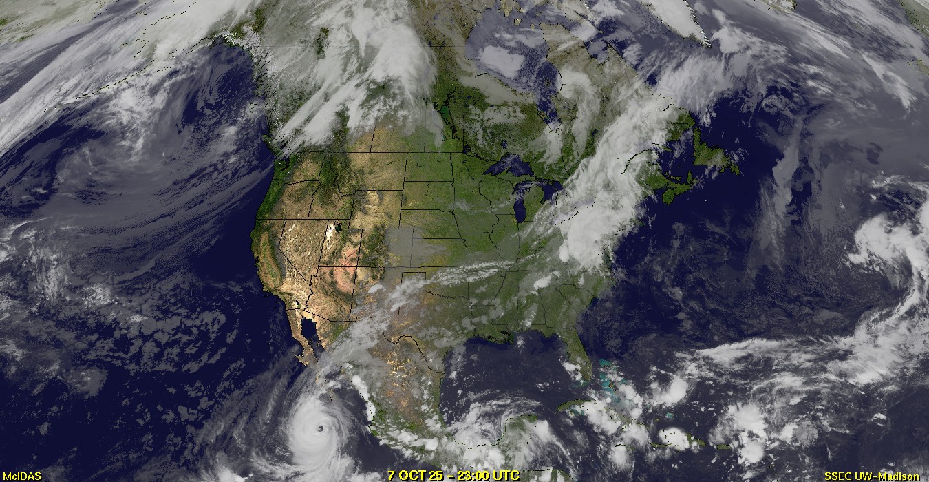 Live Satellite