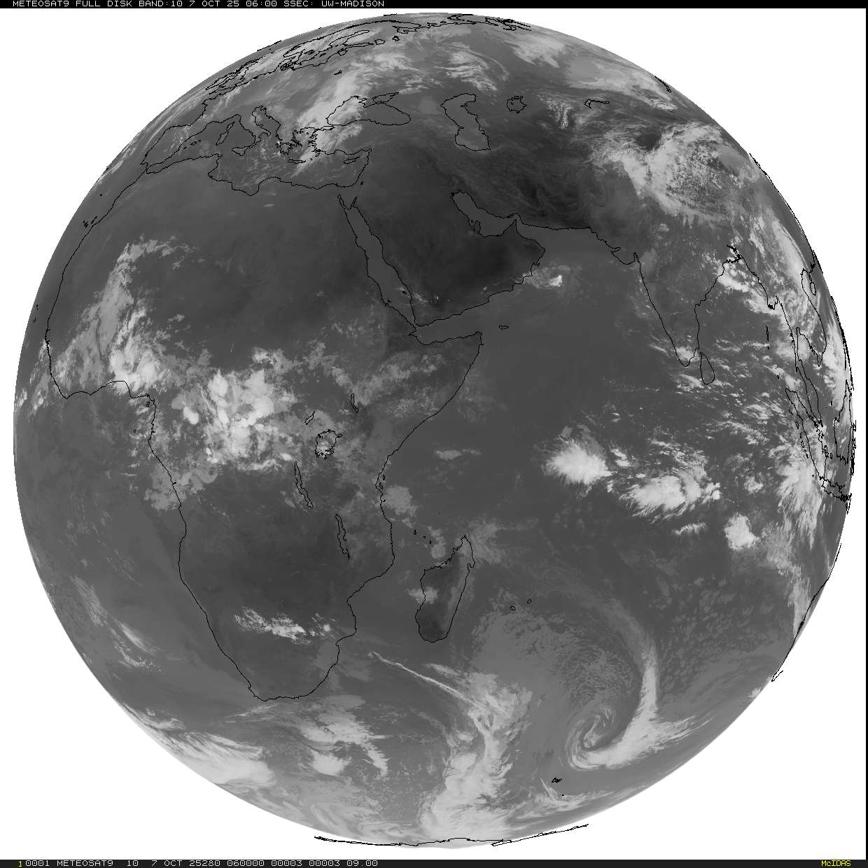 Live Satellite