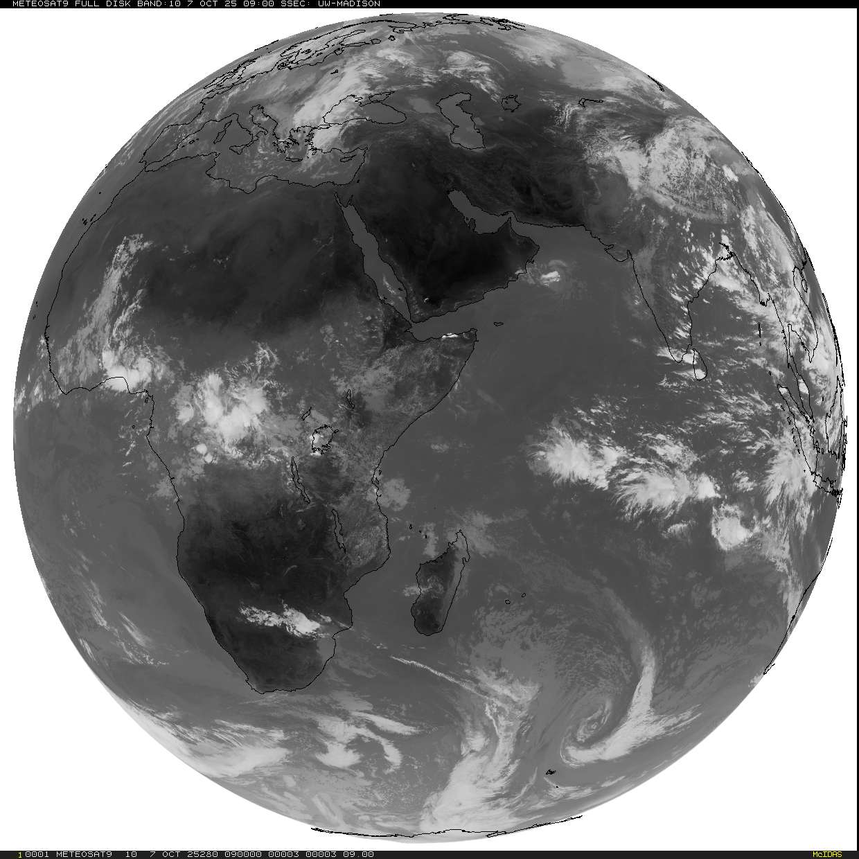 Live Satellite