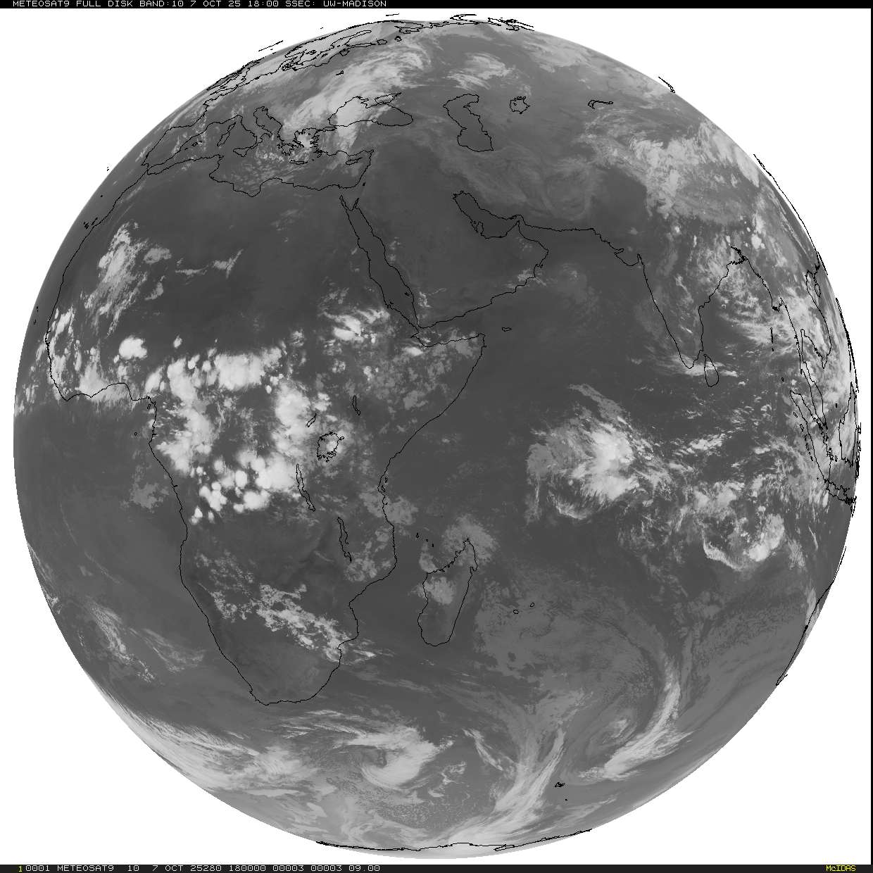 Live Satellite