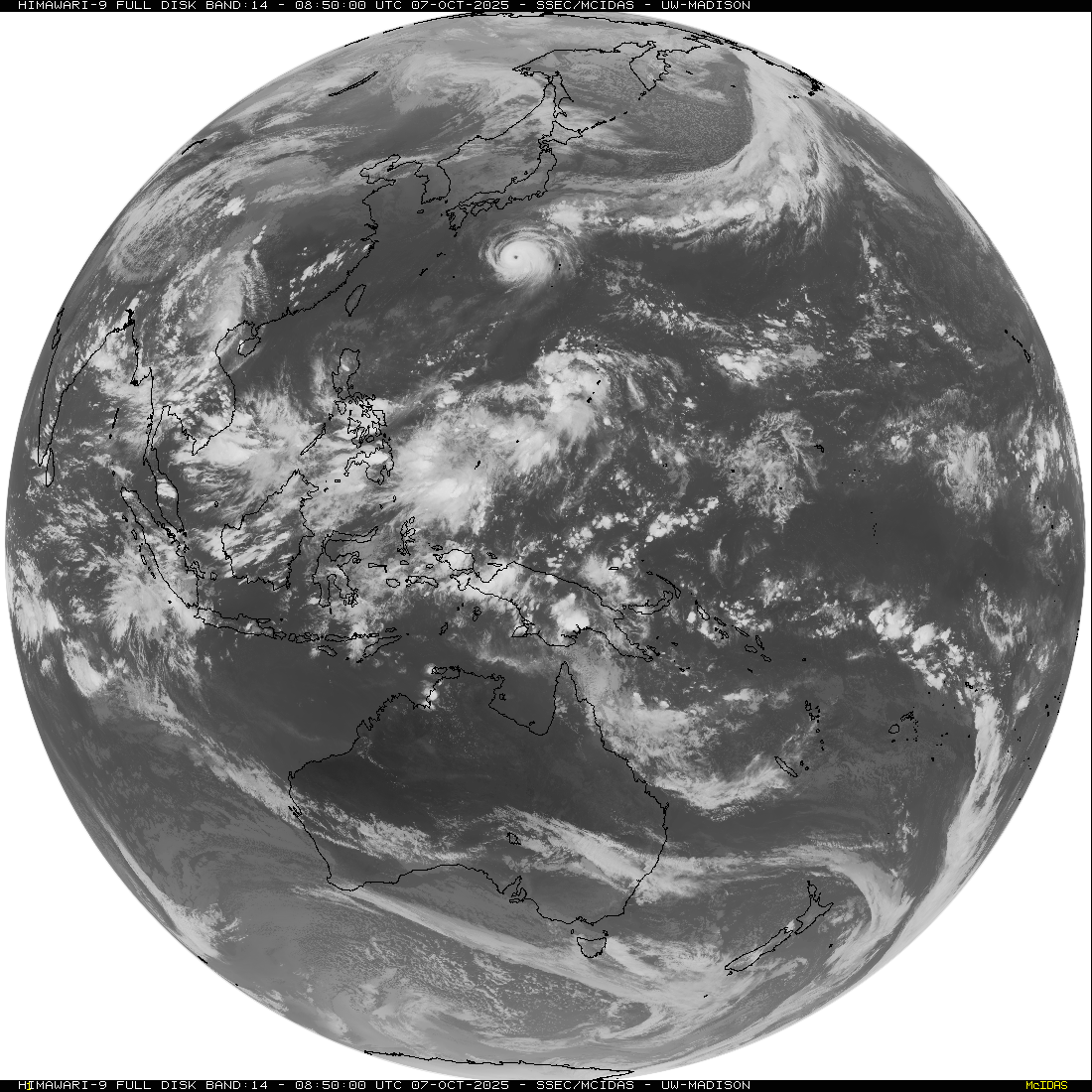 Live Satellite