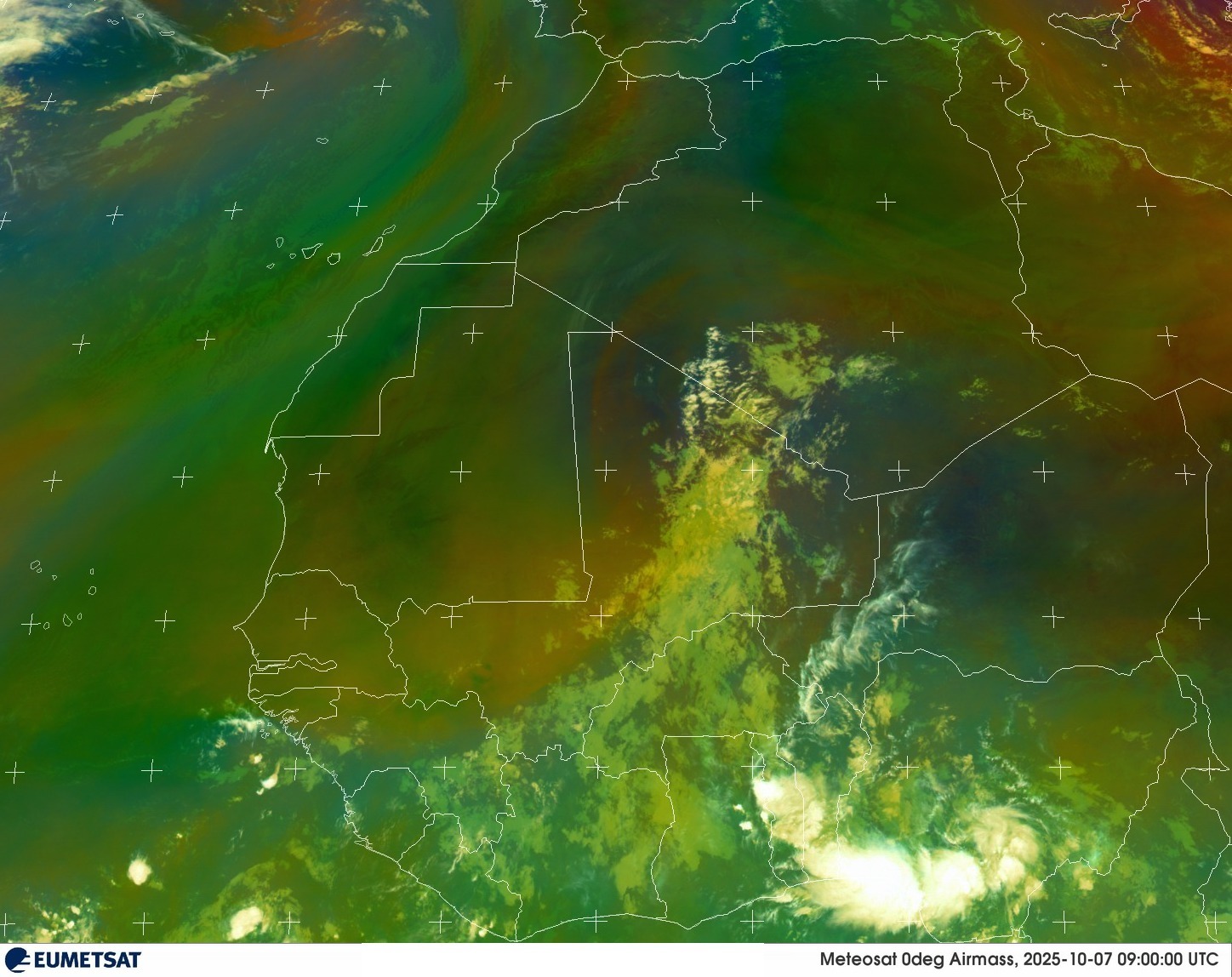 Live Satellite