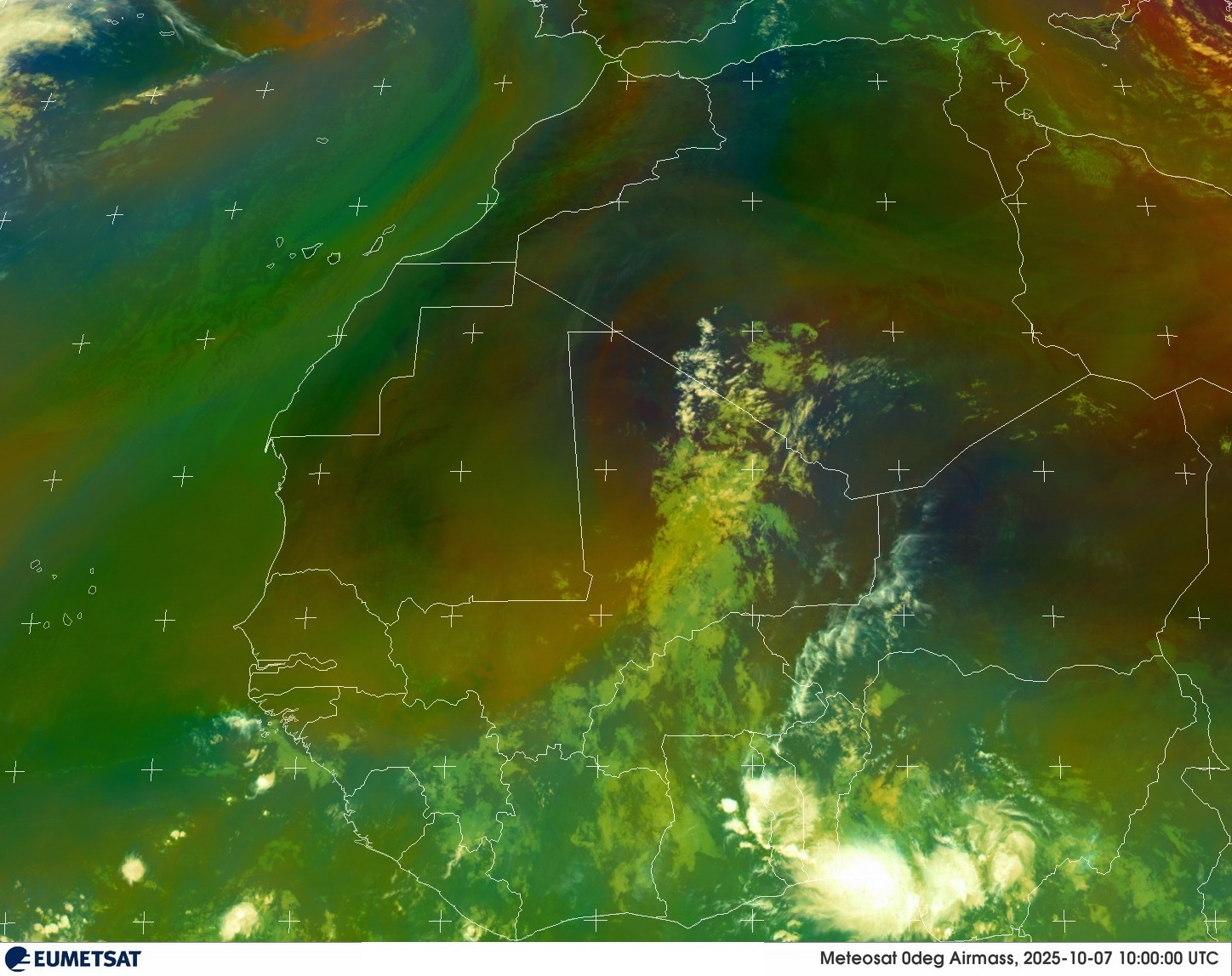 Live Satellite