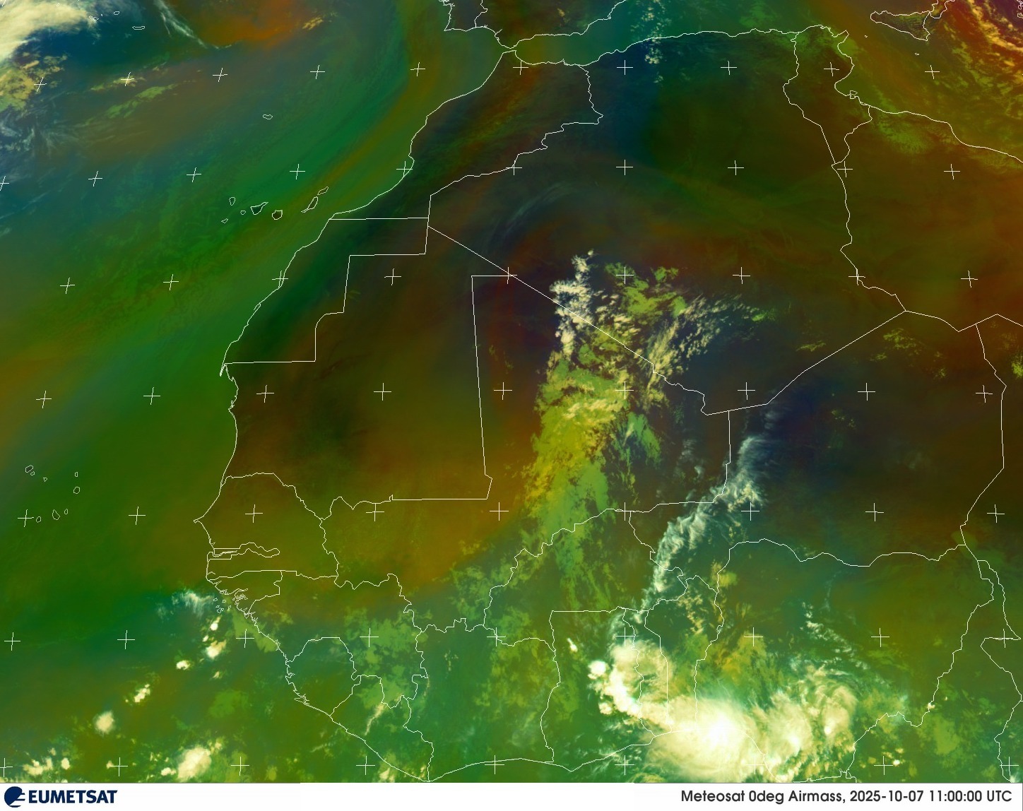 Live Satellite