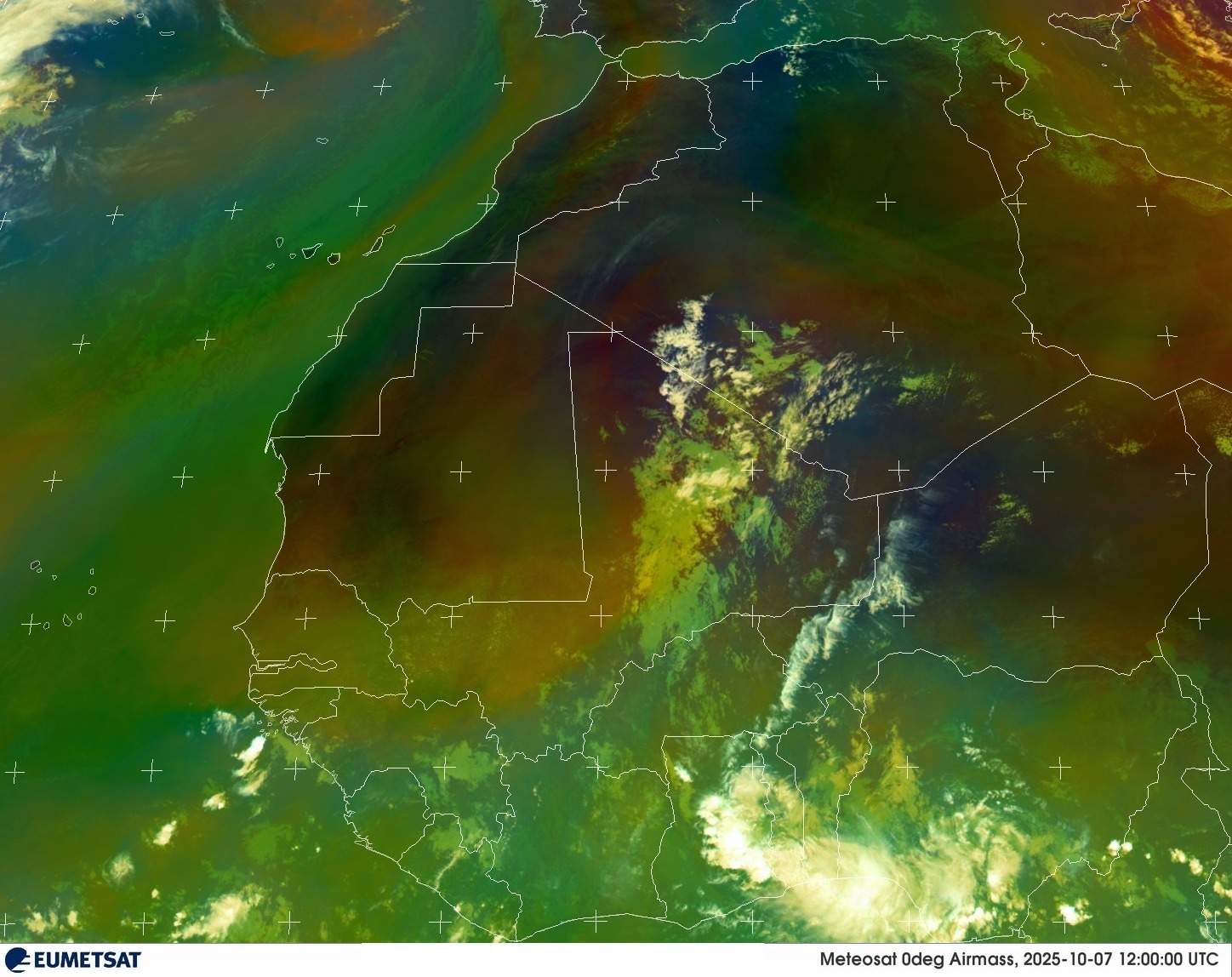 Live Satellite