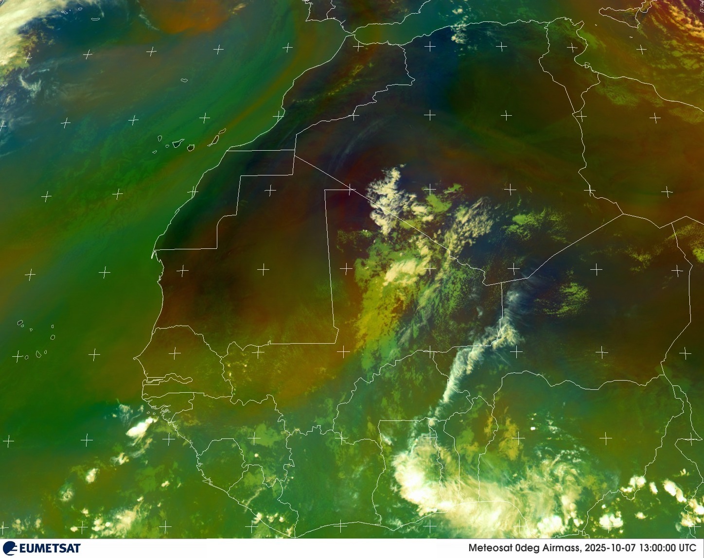 Live Satellite