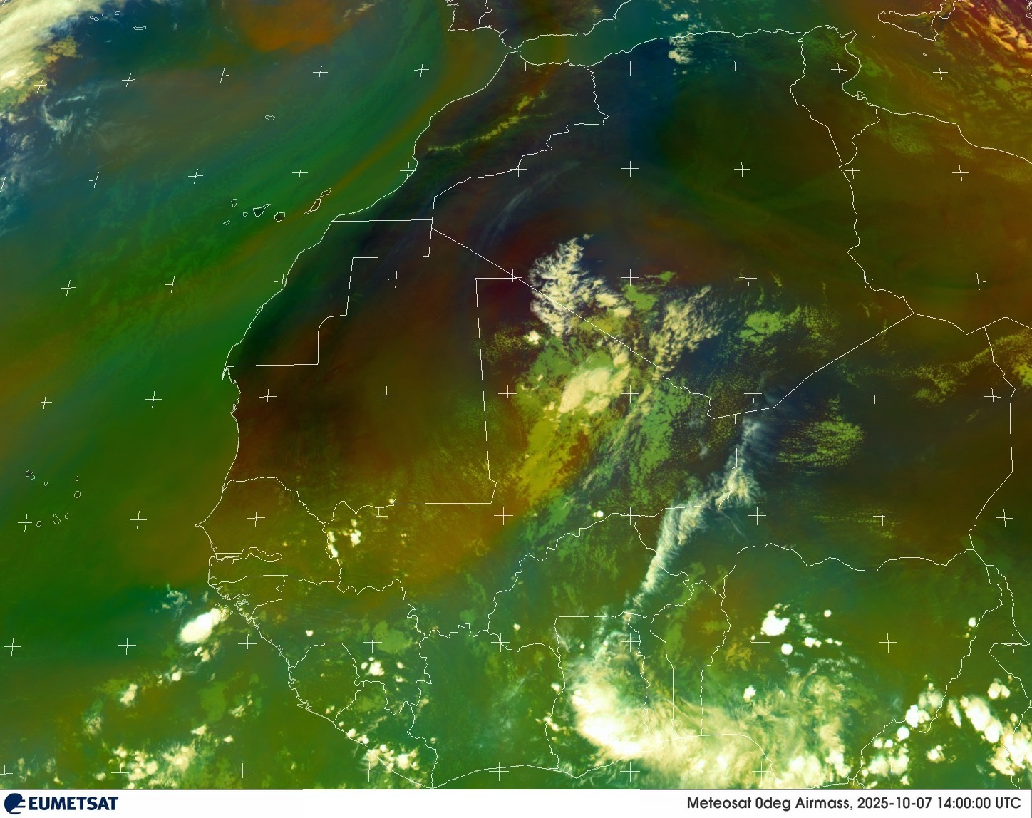 Live Satellite
