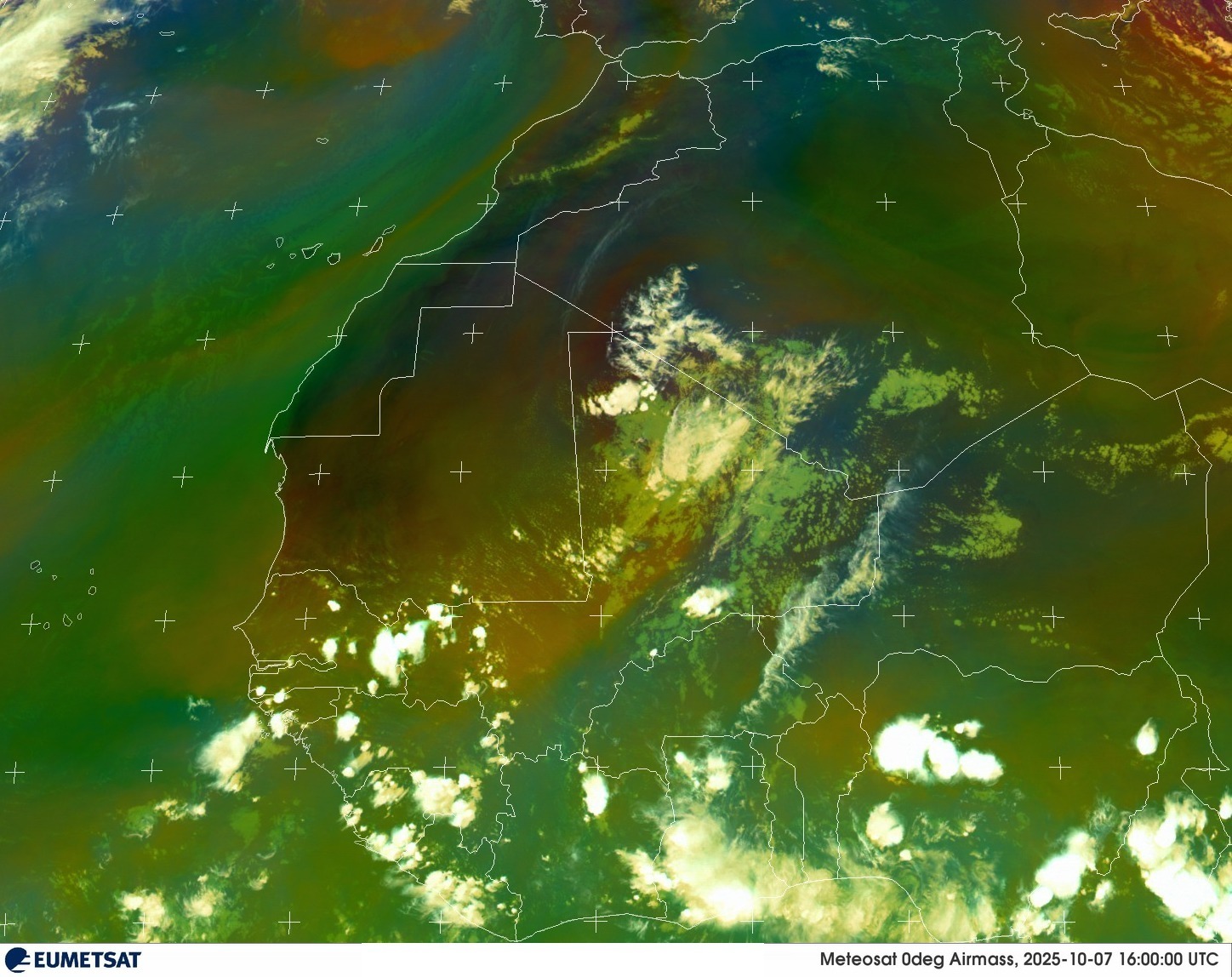 Live Satellite