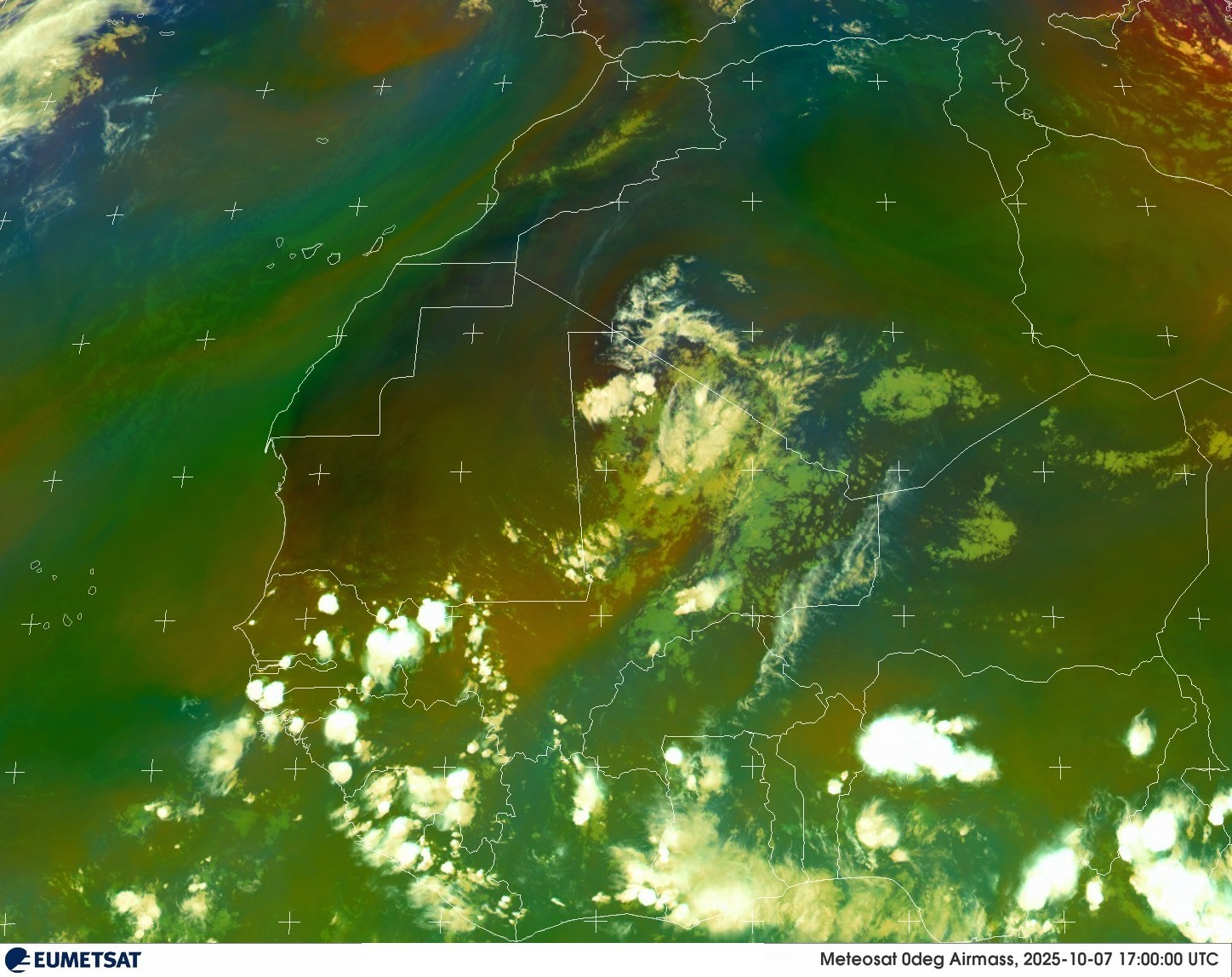 Live Satellite