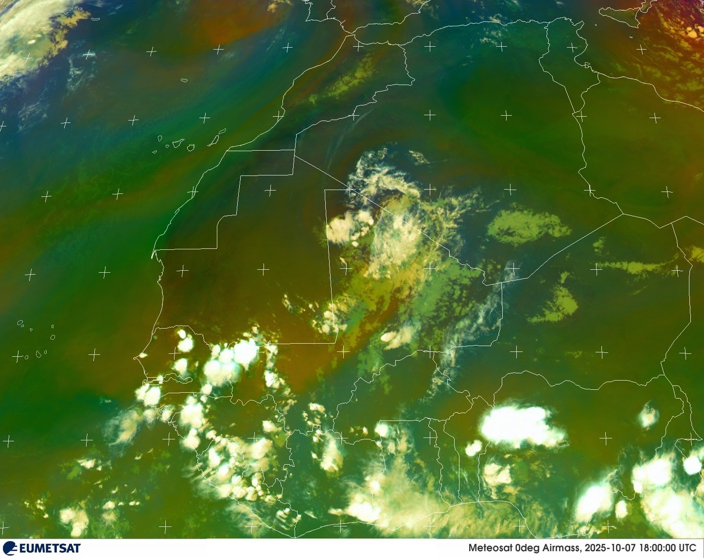 Live Satellite