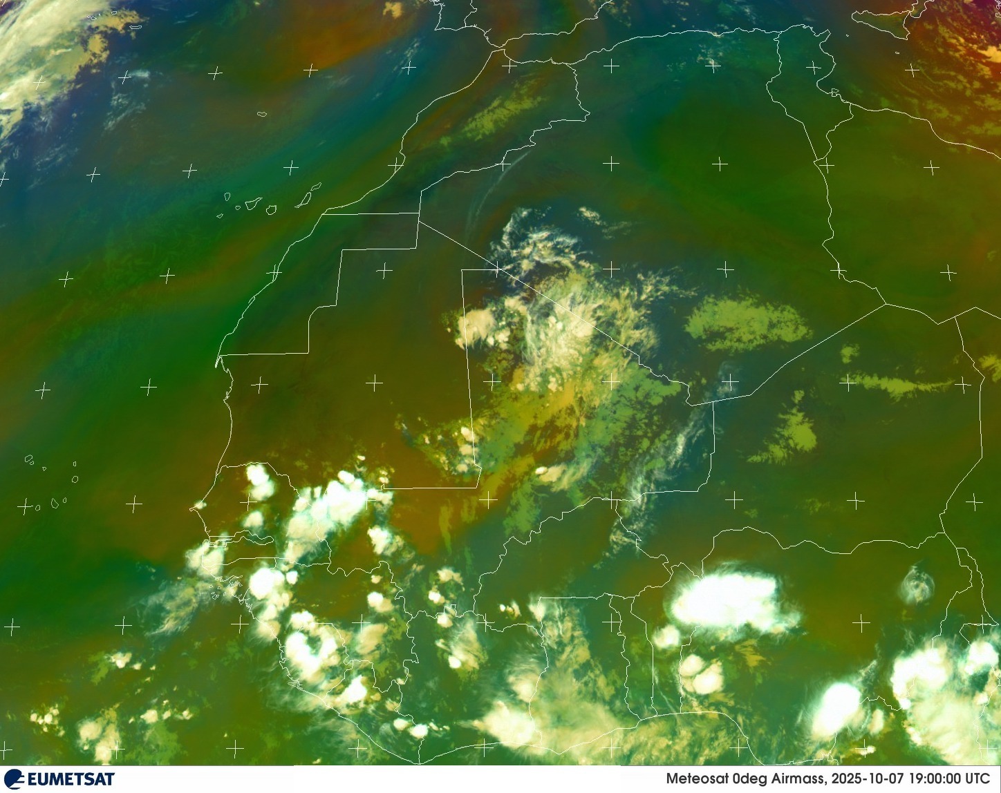 Live Satellite