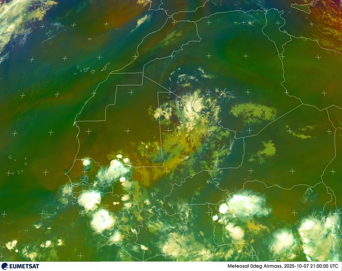 Live Satellite