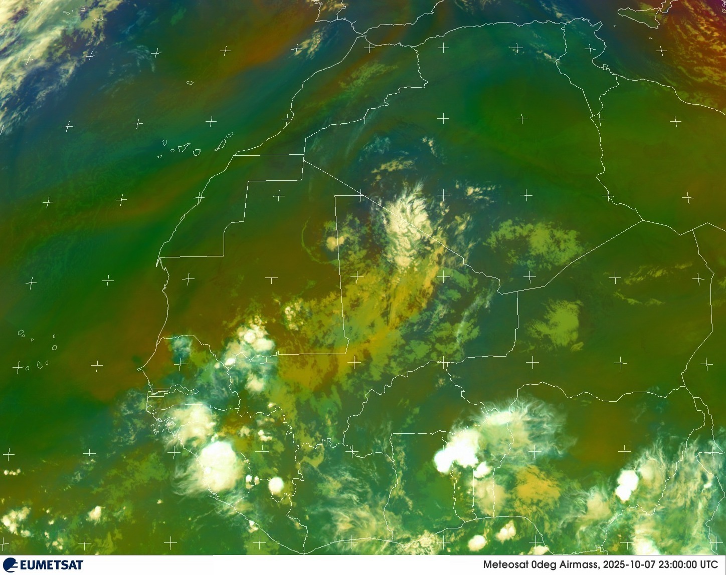 Live Satellite