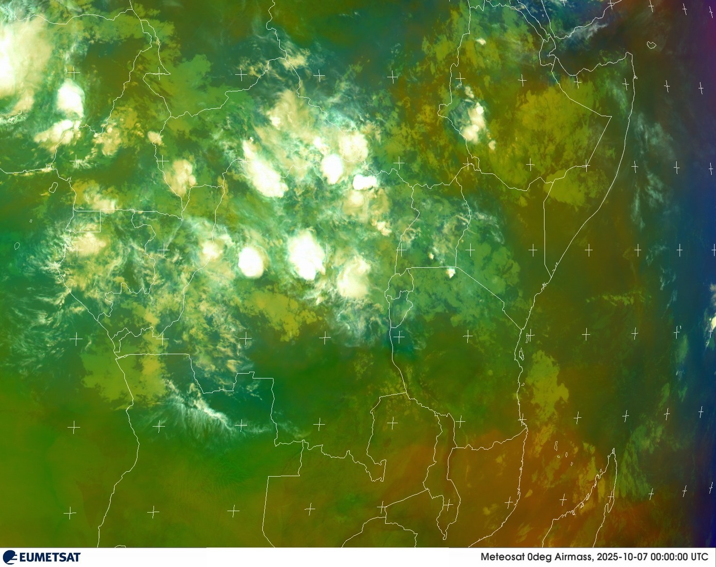 Live Satellite
