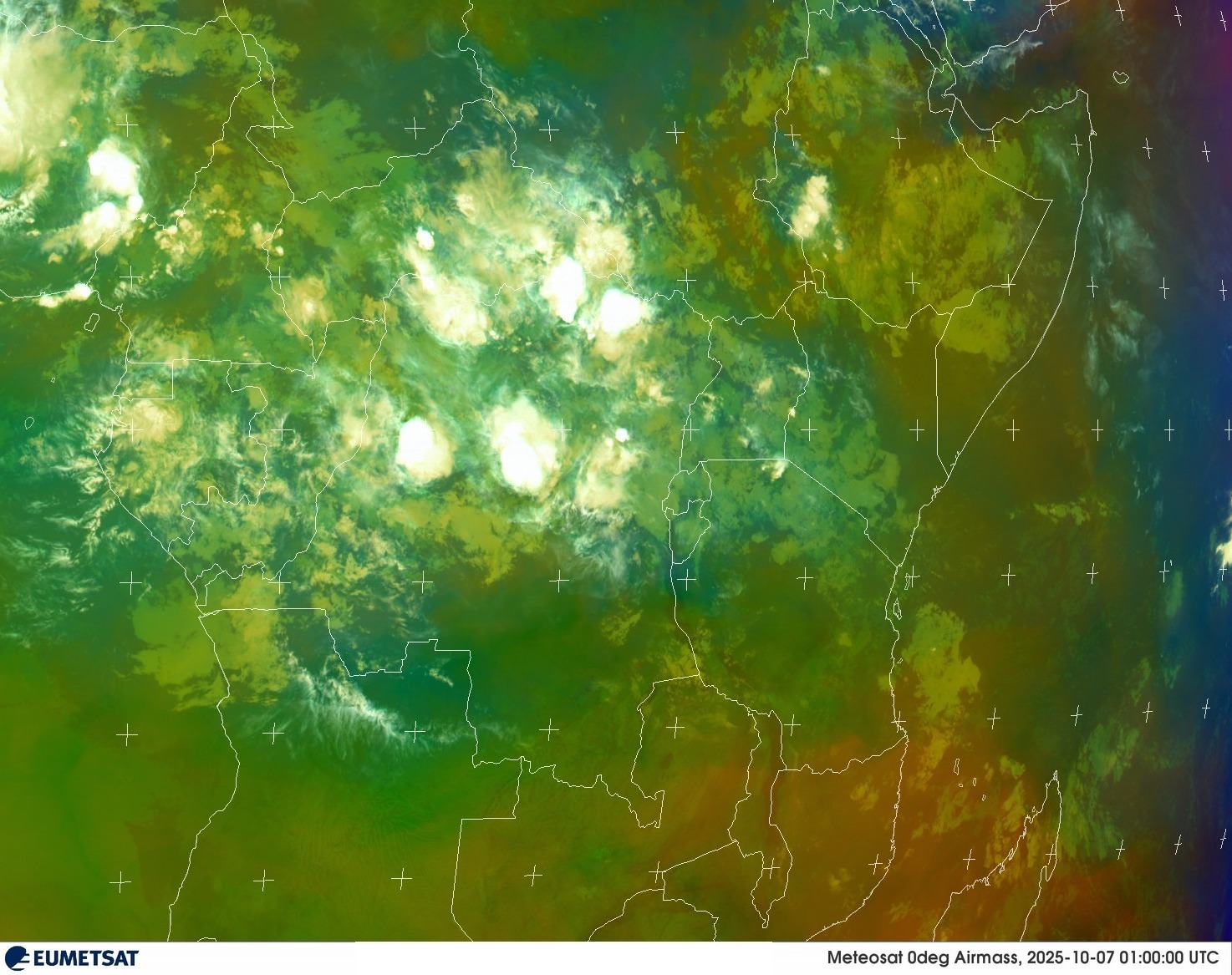 Live Satellite