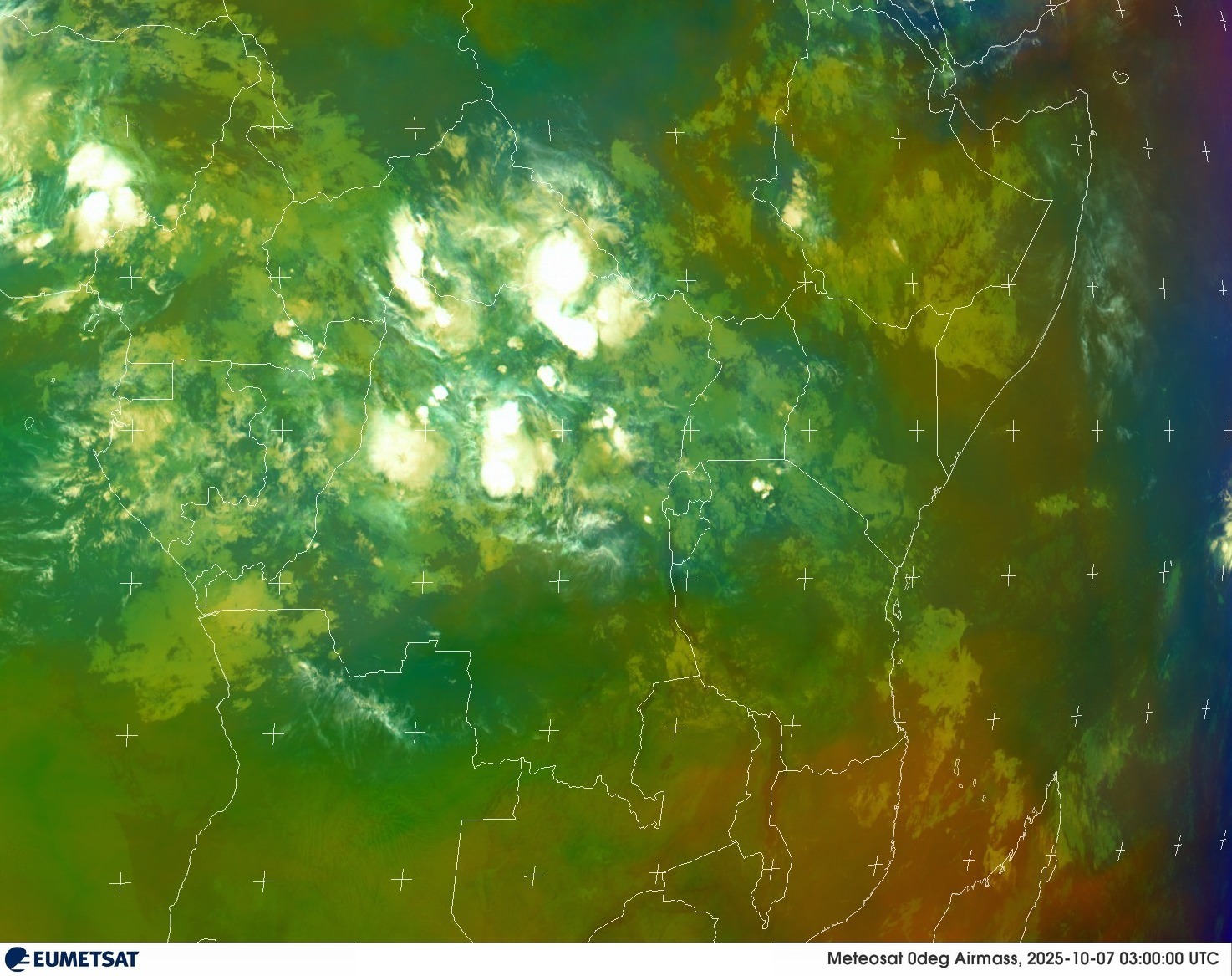 Live Satellite