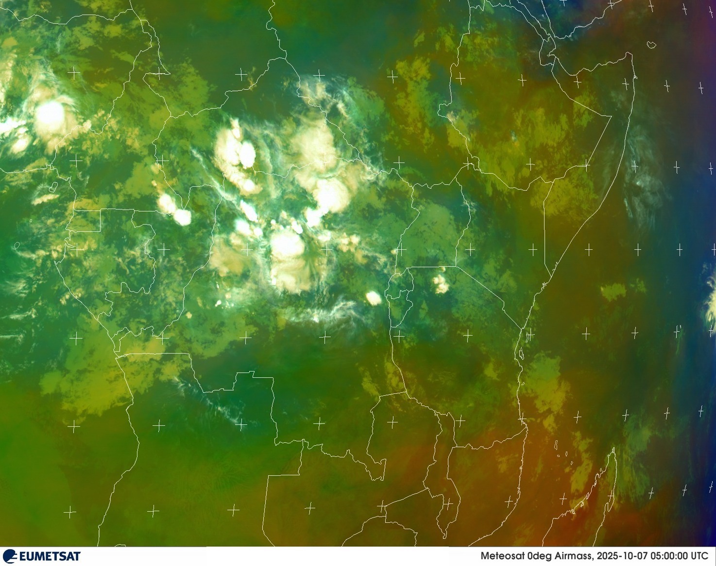 Live Satellite