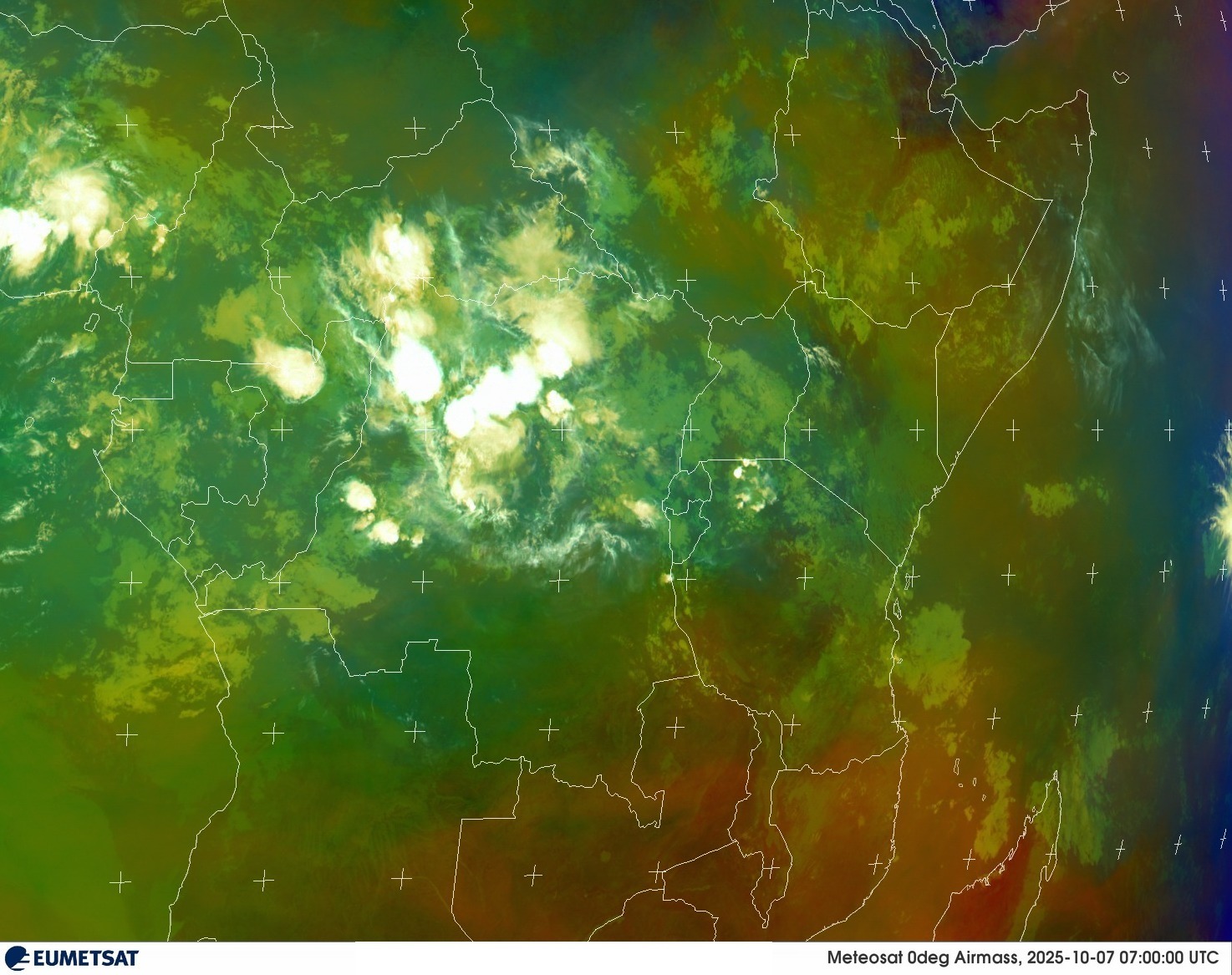 Live Satellite