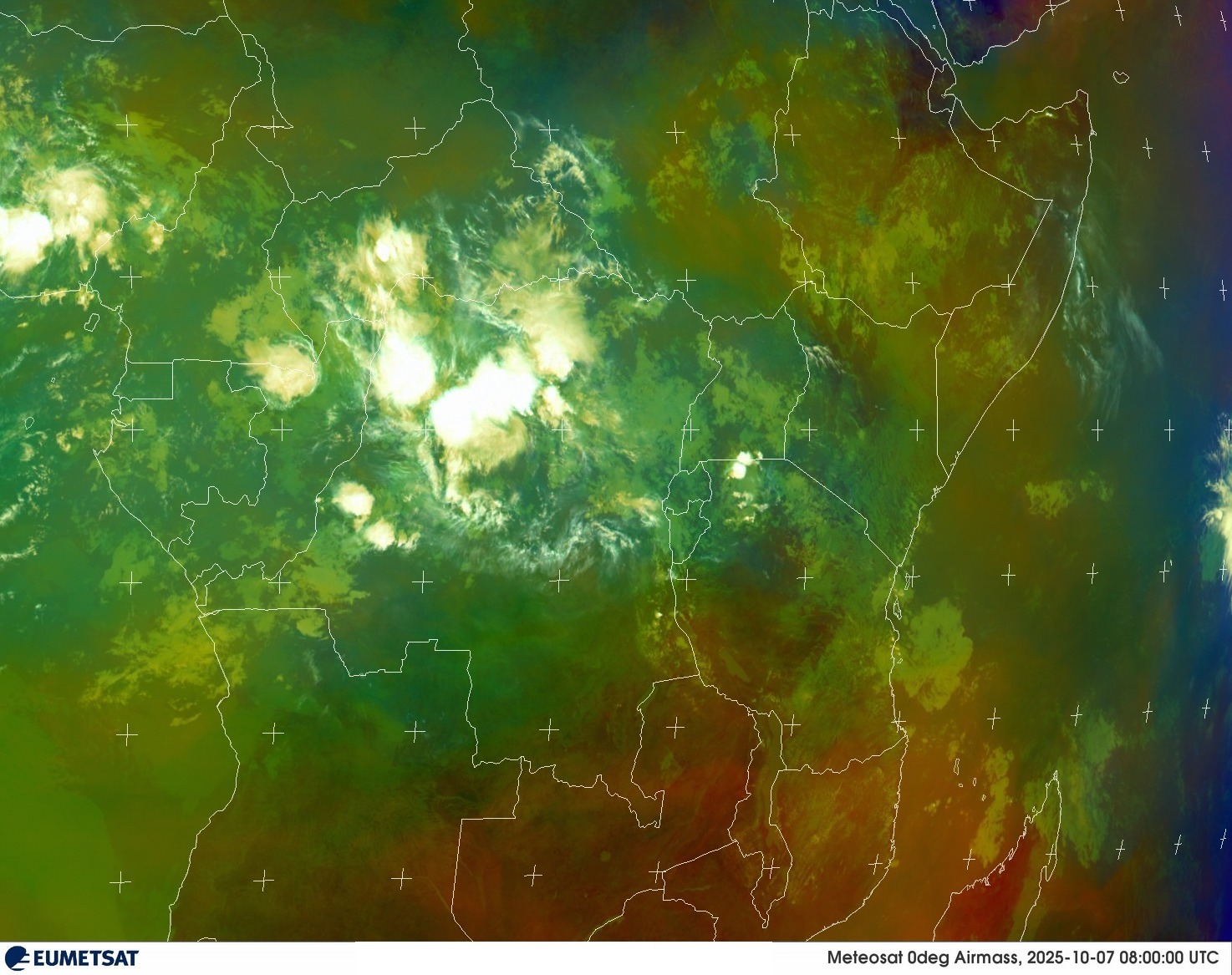 Live Satellite