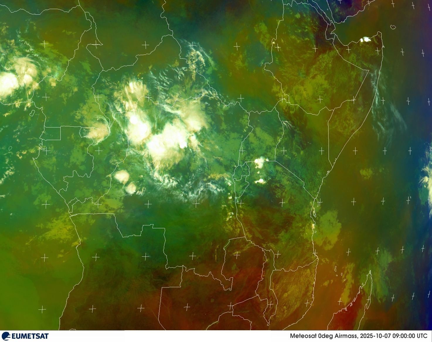 Live Satellite