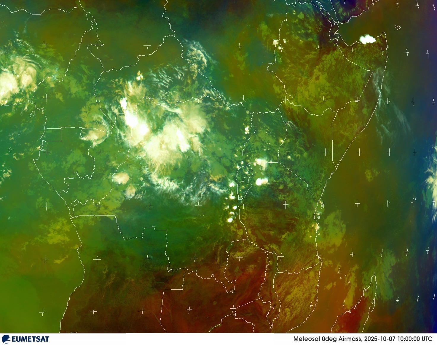 Live Satellite