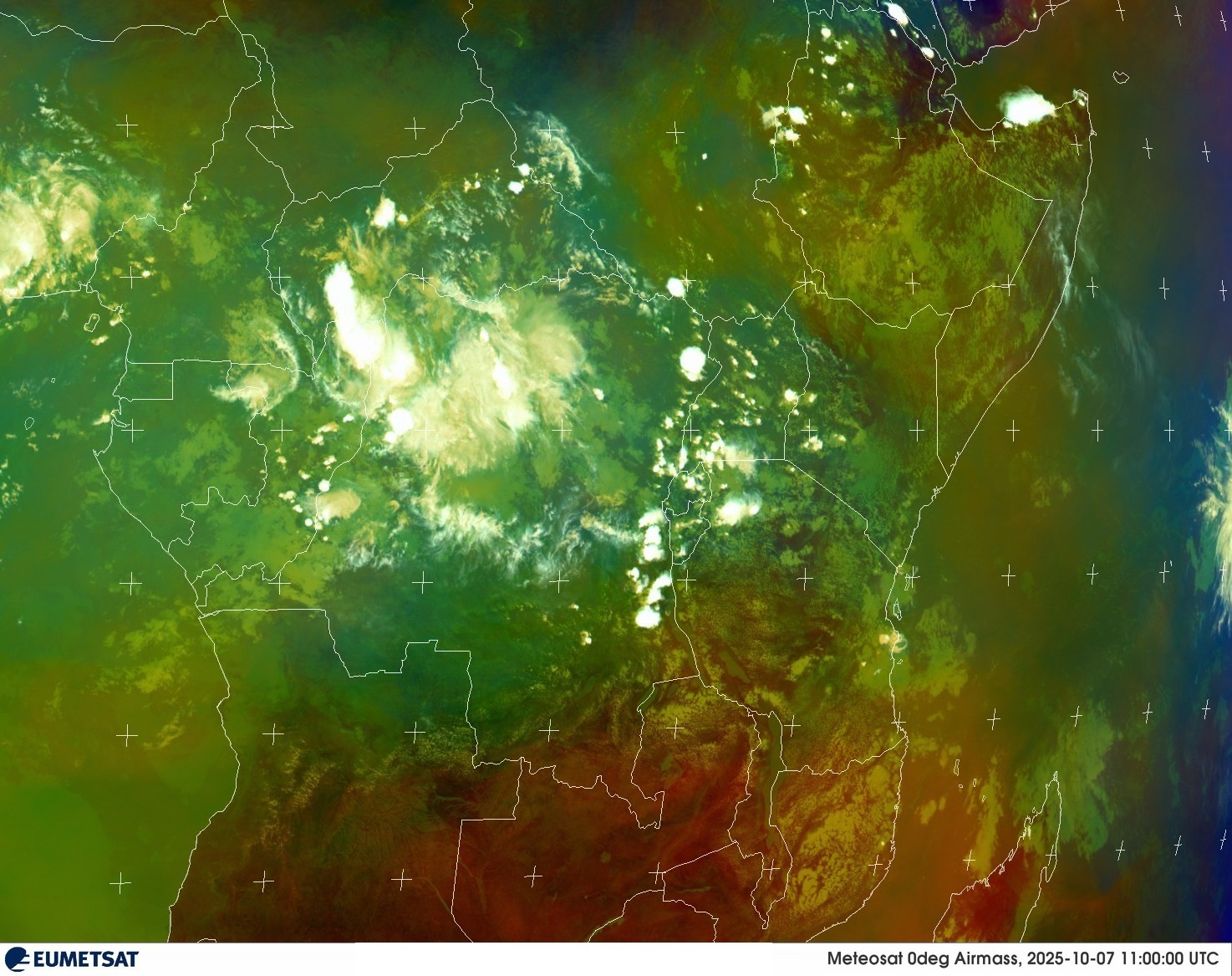 Live Satellite