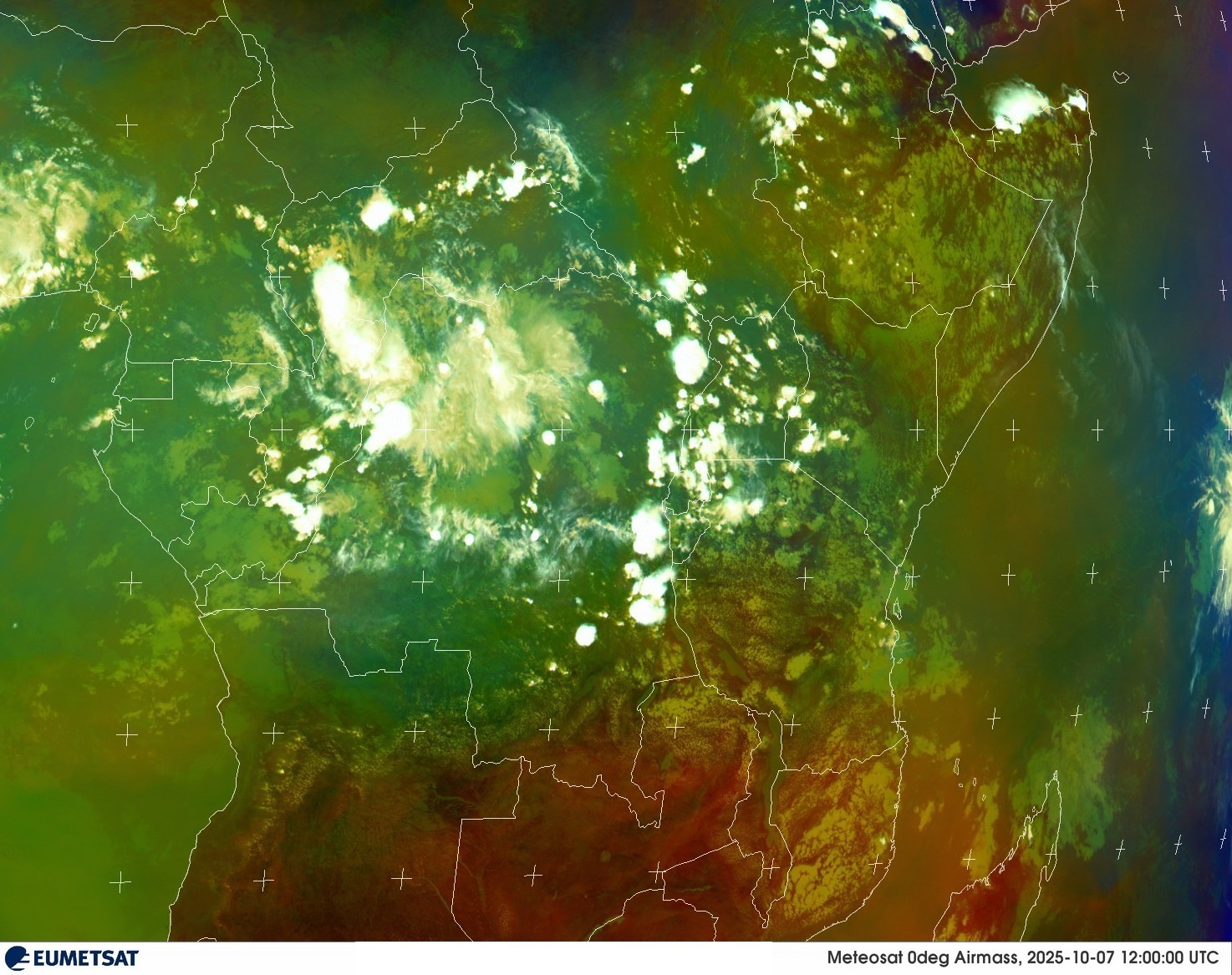 Live Satellite