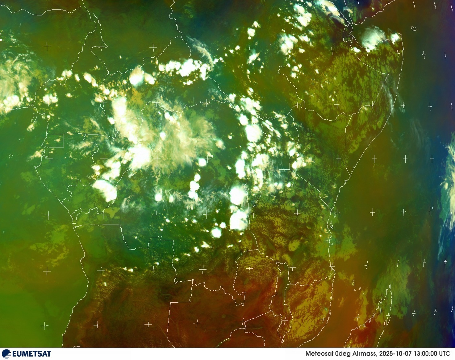 Live Satellite