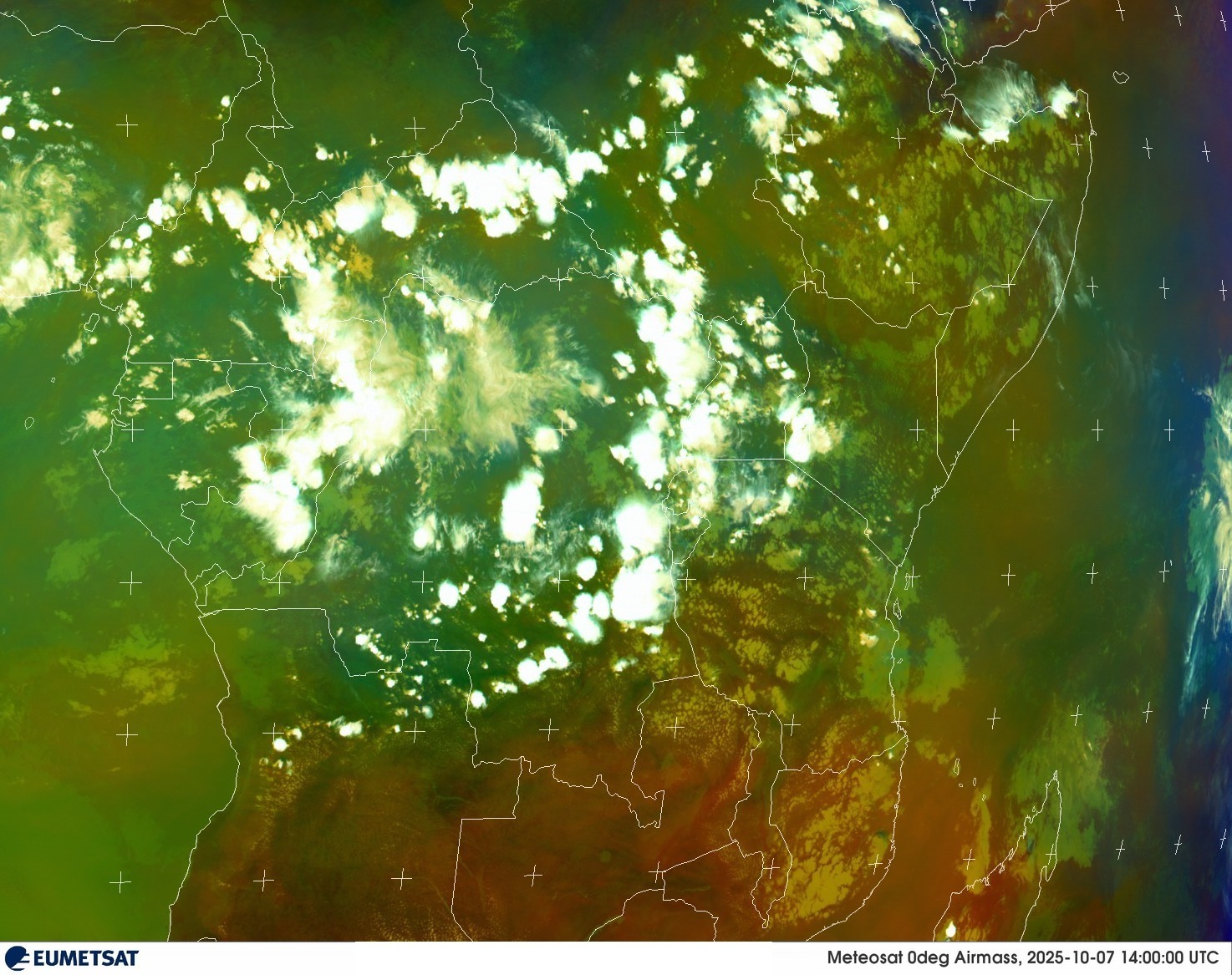 Live Satellite