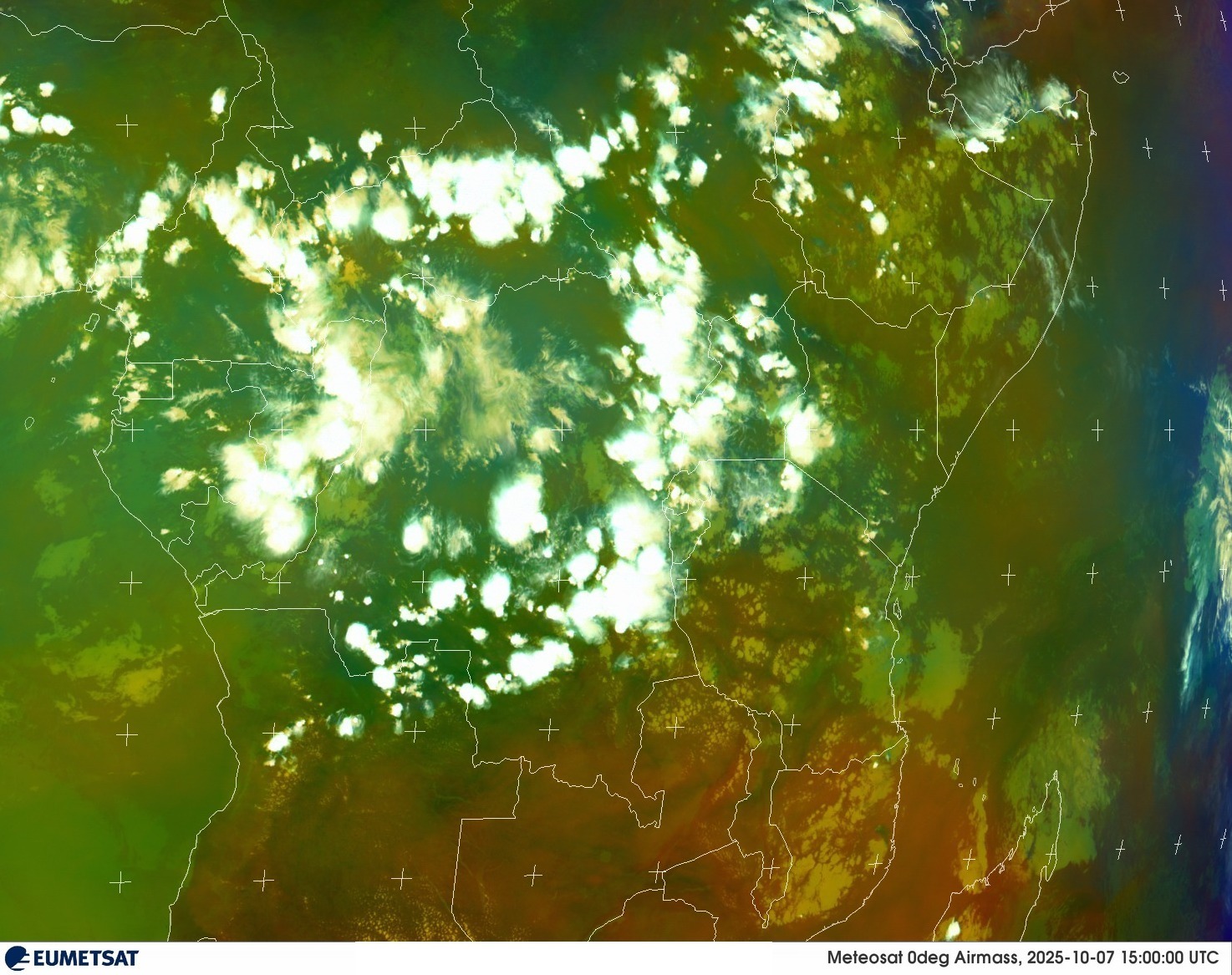 Live Satellite
