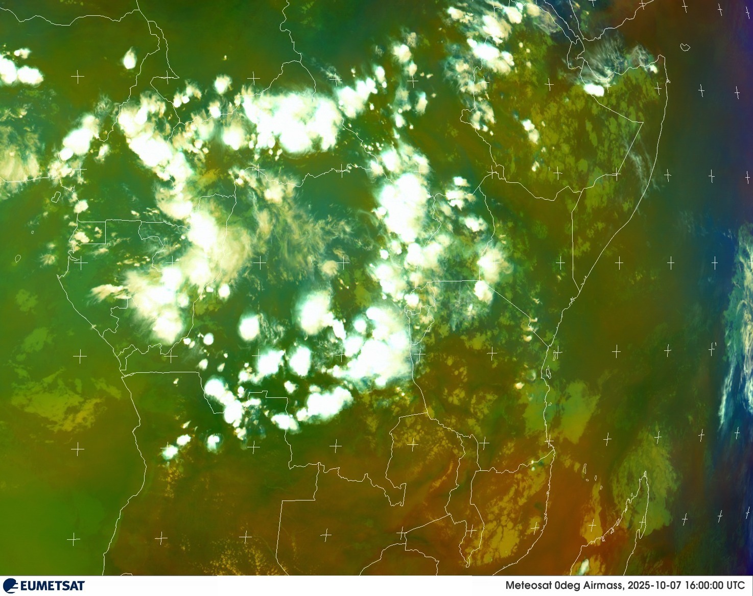 Live Satellite