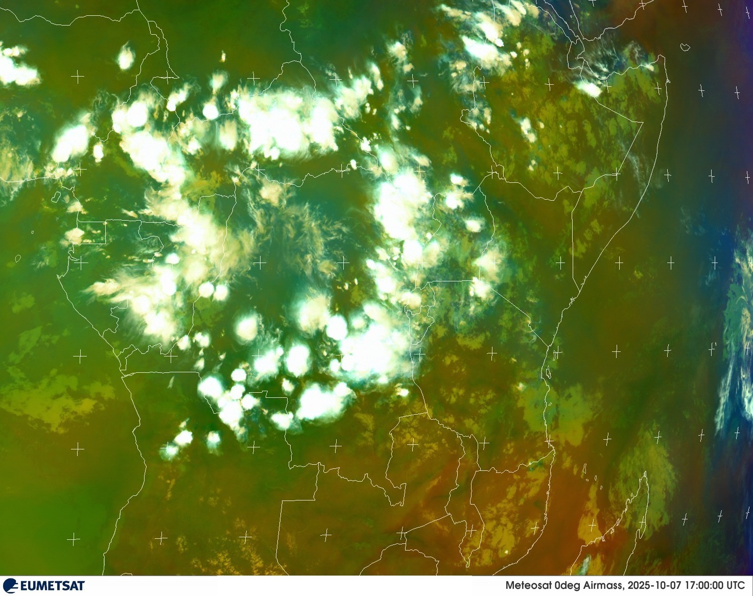 Live Satellite