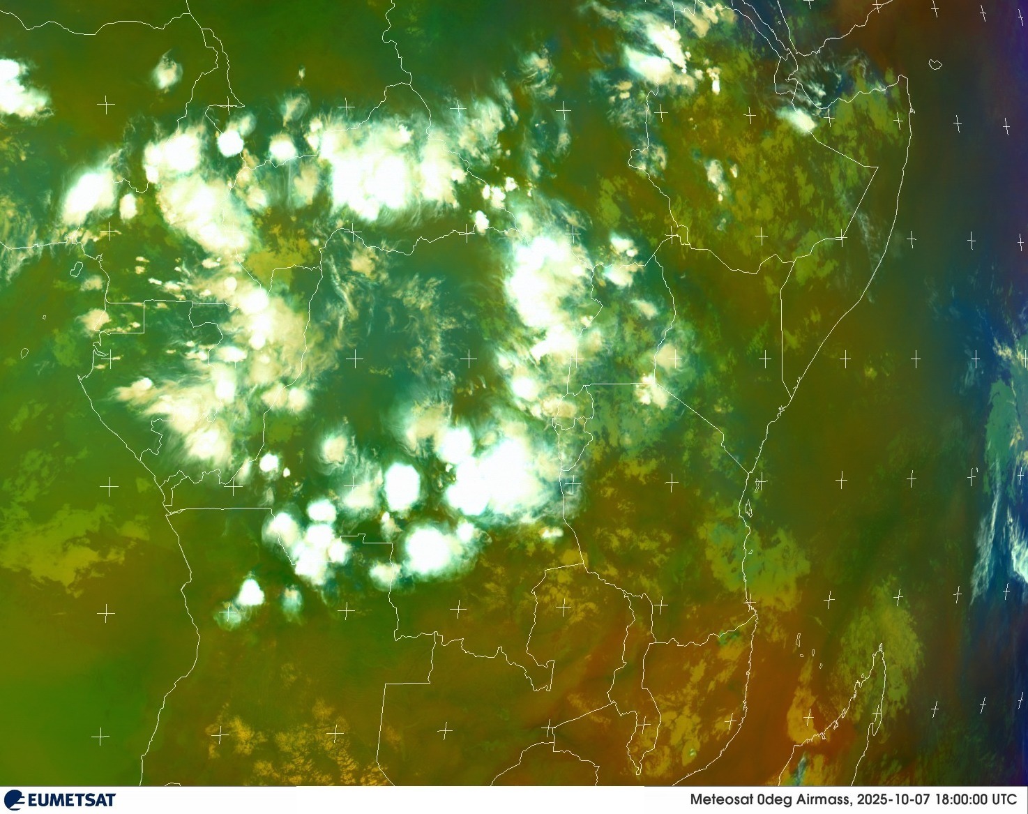 Live Satellite