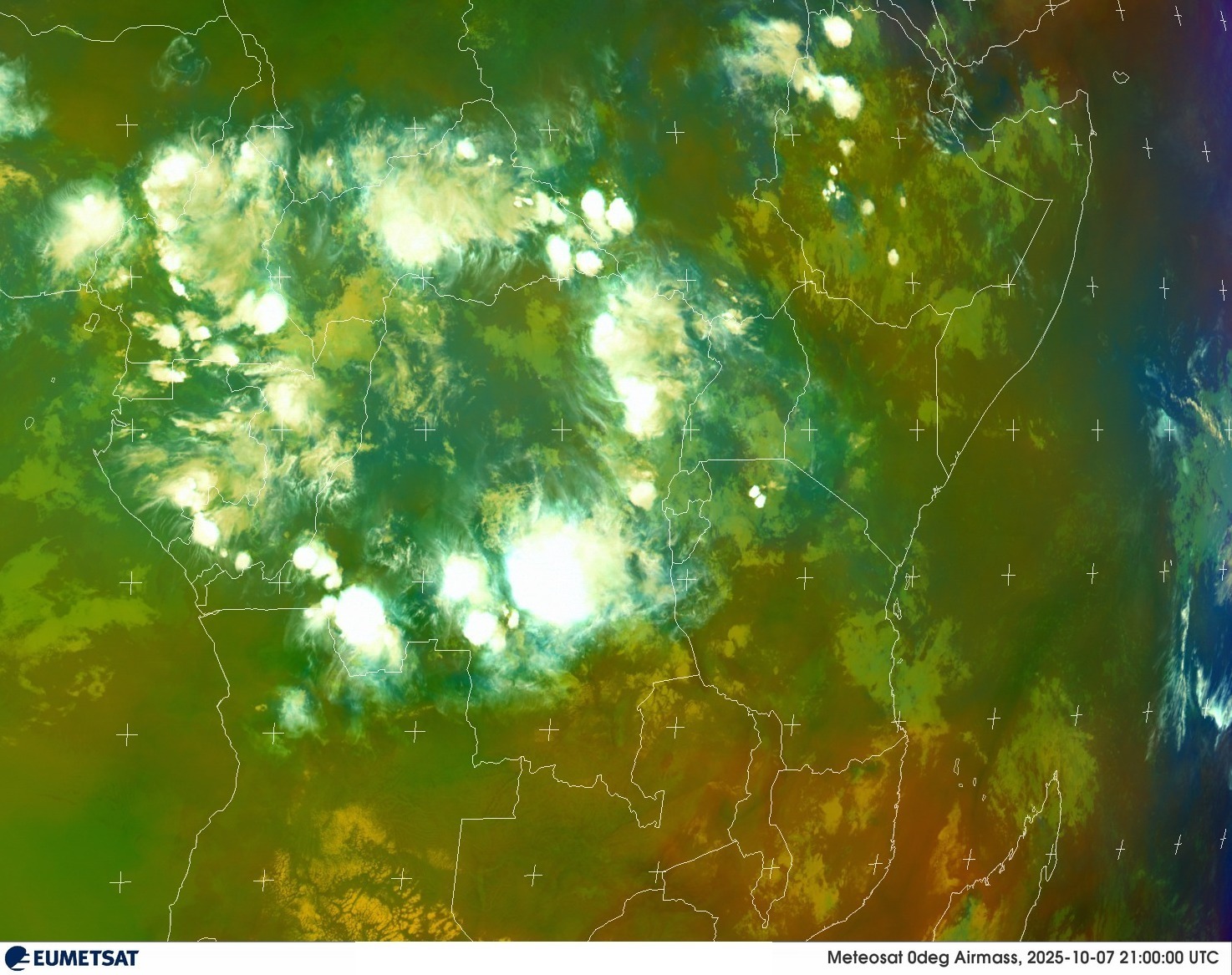 Live Satellite