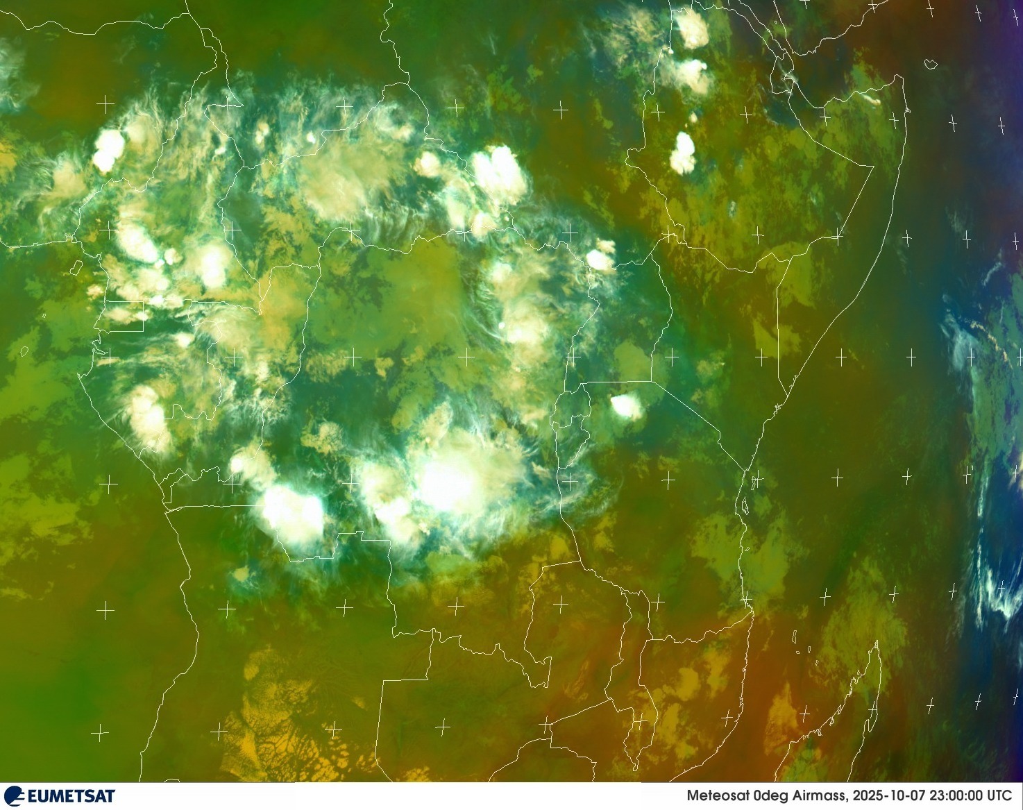 Live Satellite