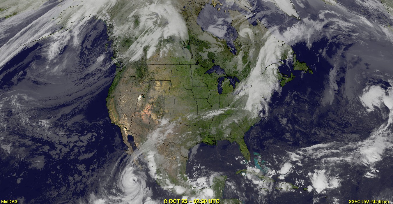 Live Satellite
