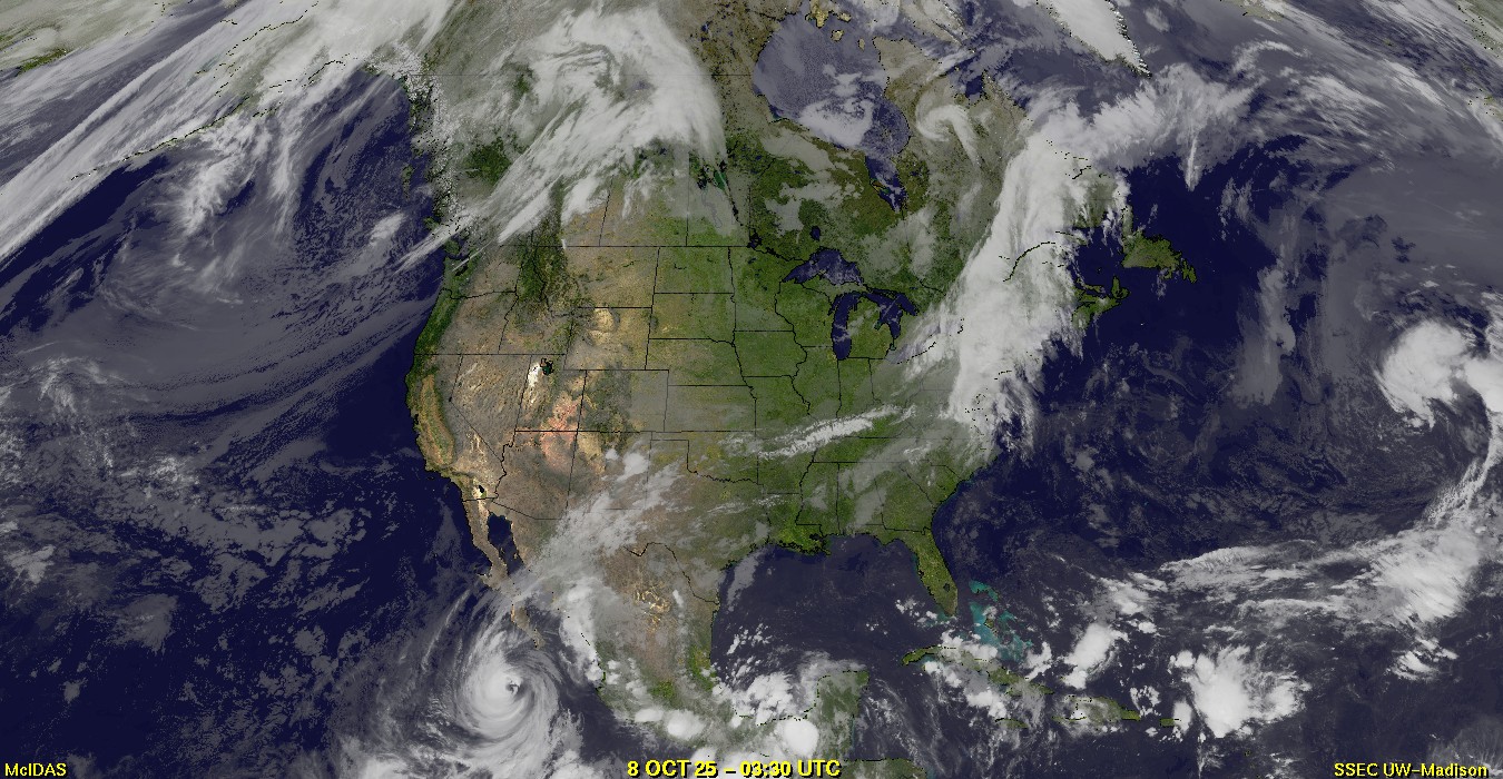 Live Satellite