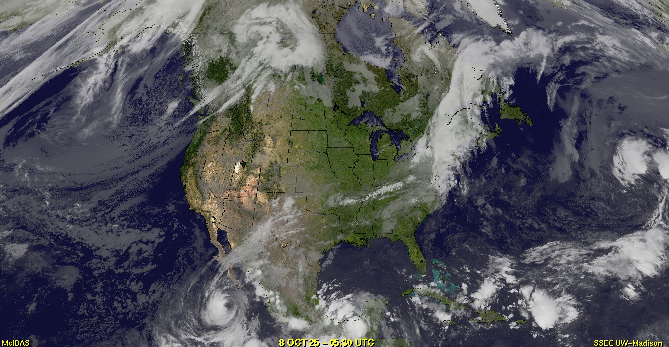 Live Satellite