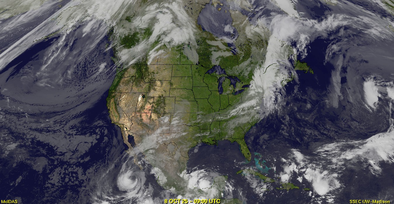 Live Satellite