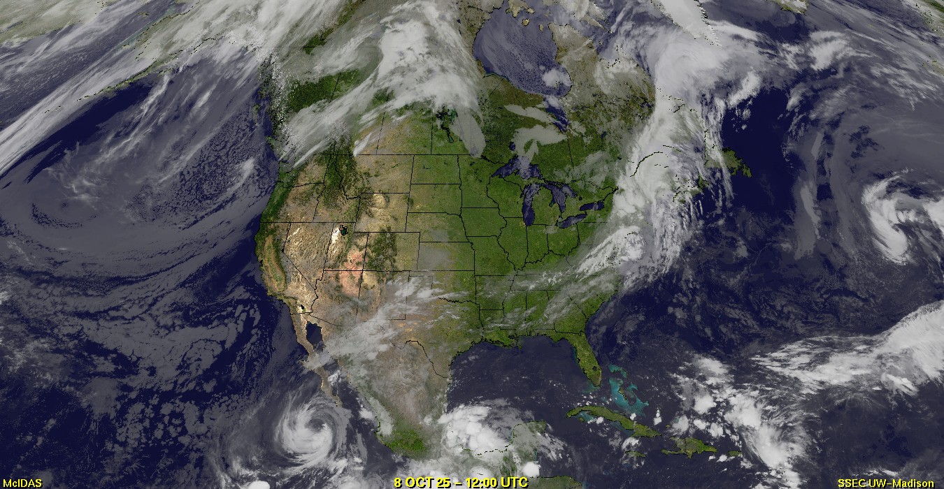 Live Satellite